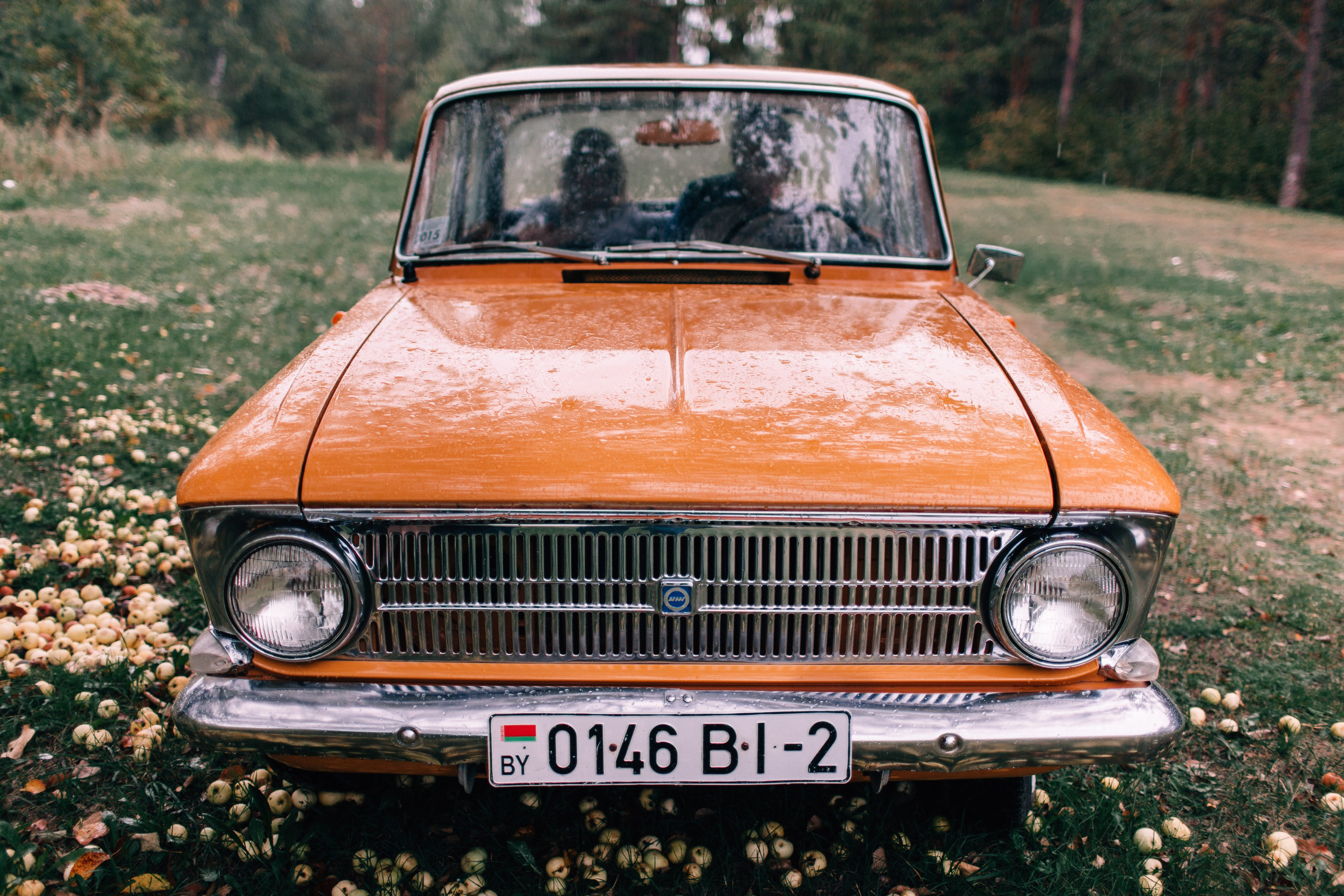 Яна и Артем. Свадебный фотограф в Минске Александр Савченко