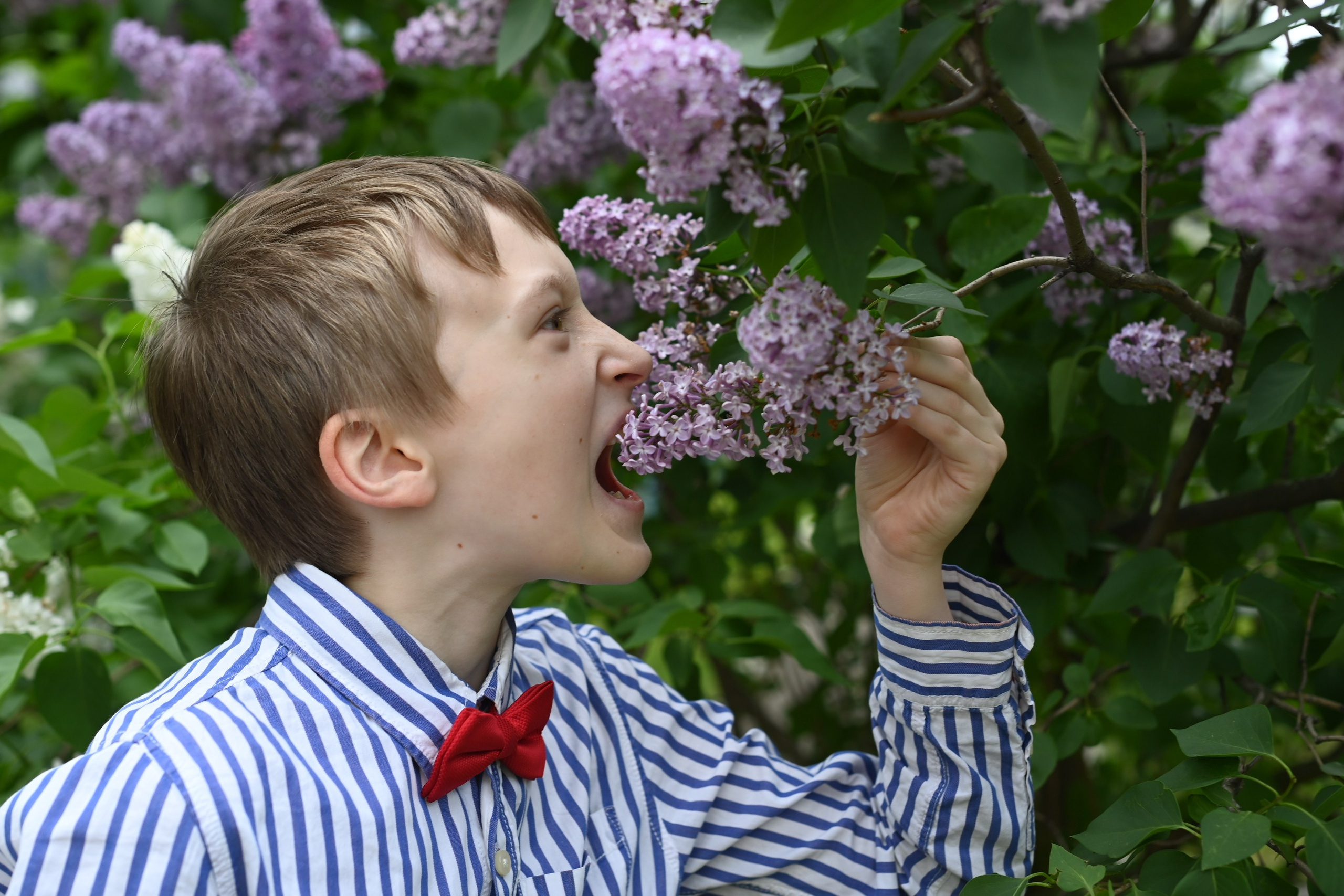 Ежегодная майская фотосъёмка школьников. Свадебный и семейный фотограф в Москве Ирина Гончарова
