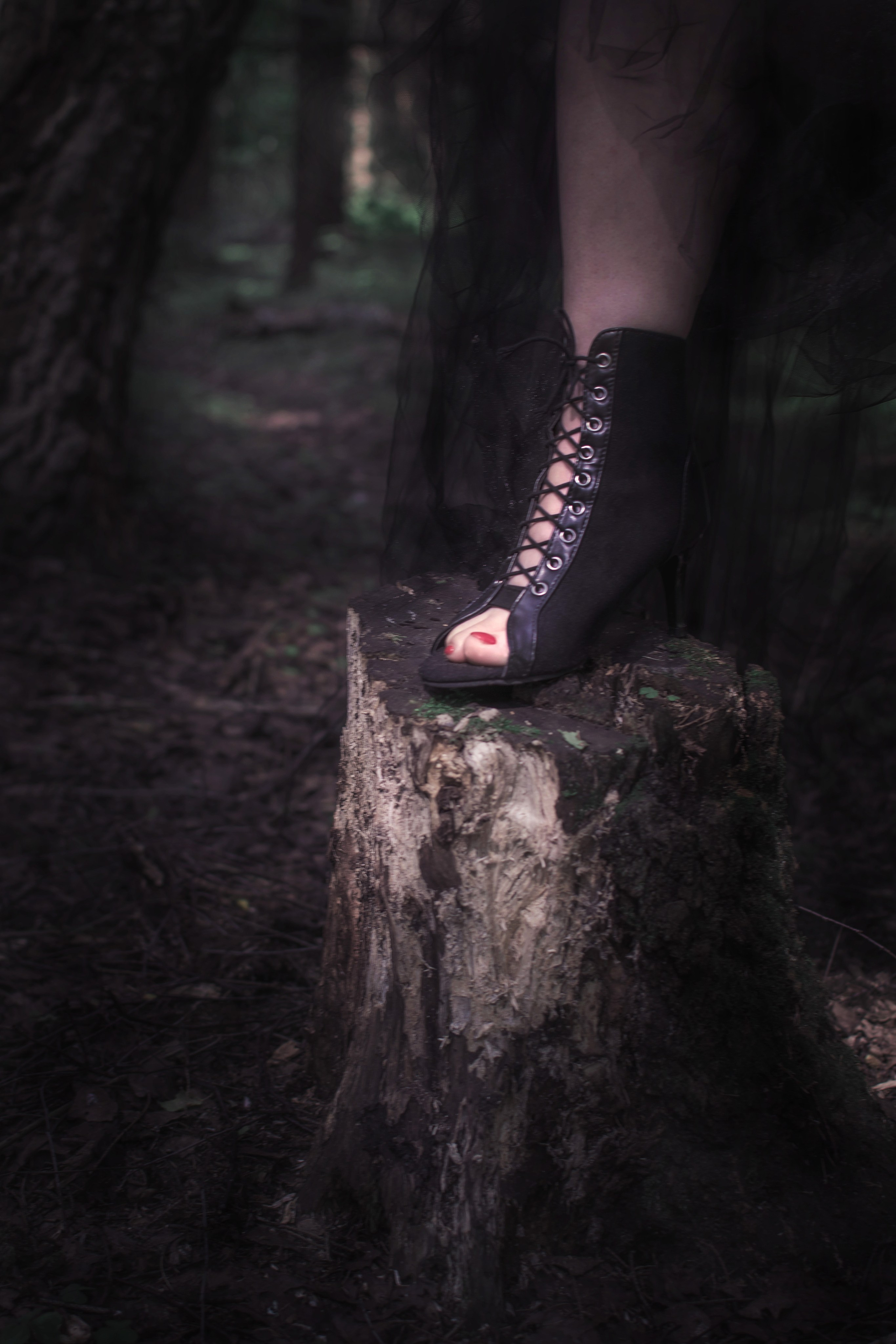 Мрачный лес. Детский и семейный фотограф в Волоколамске Ирина Шарова