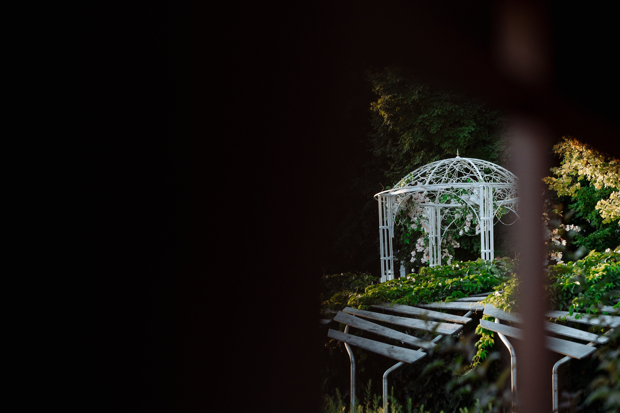 День Андрея и Оли | 2023. Фотограф Вито Бурмасов | Москва