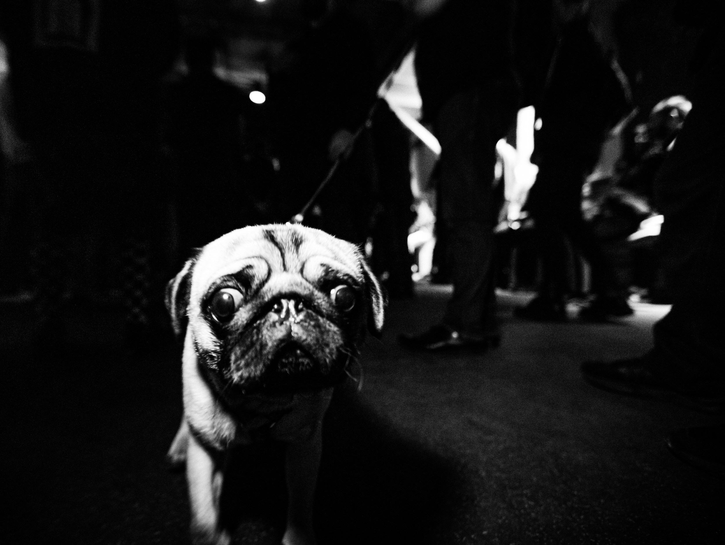 Роад трип TRNA СПБ-Москва 2021. Фотограф Мария Немм