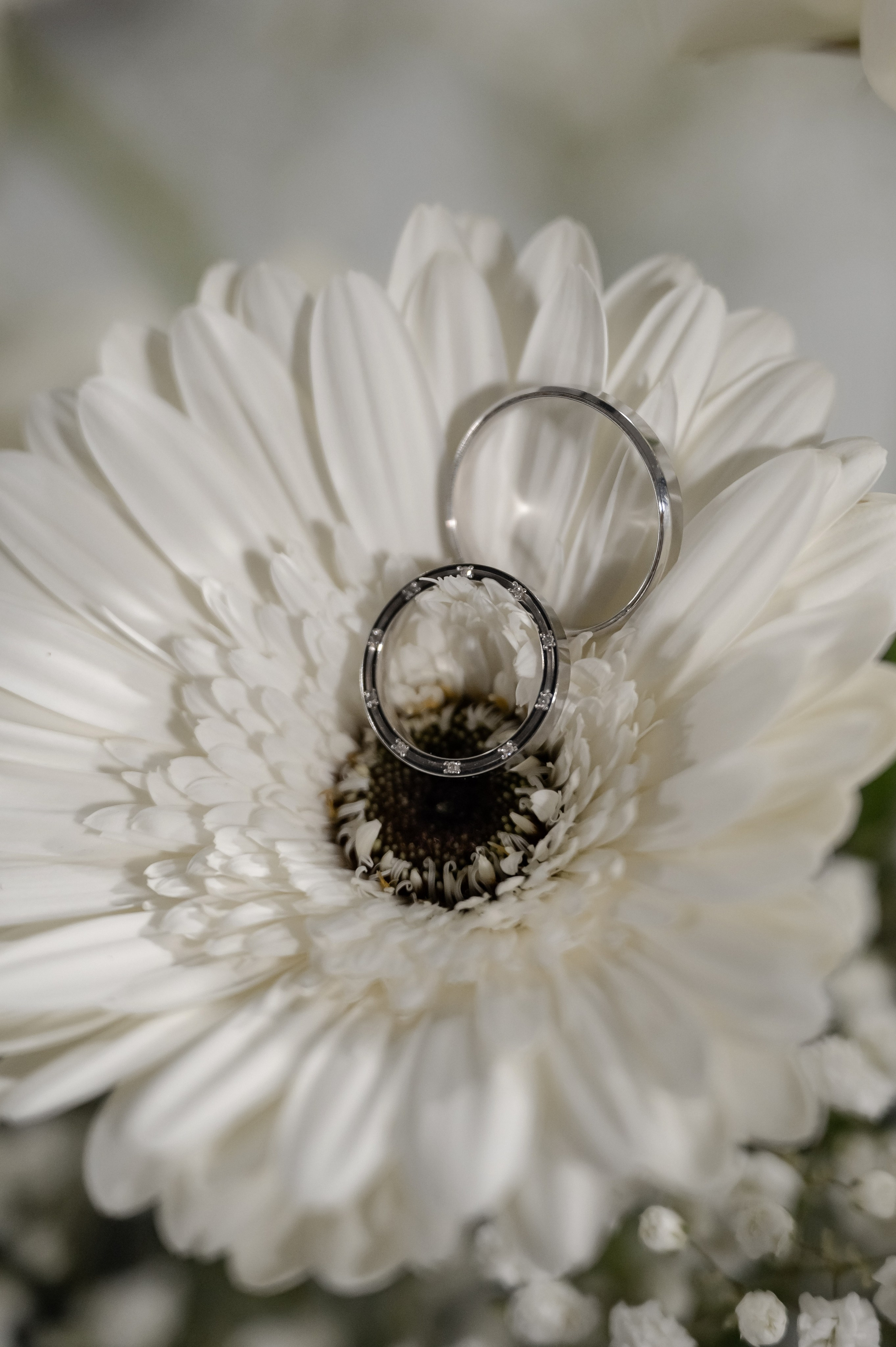 Сергей и Татьяна. Свадебный фотограф и видеограф