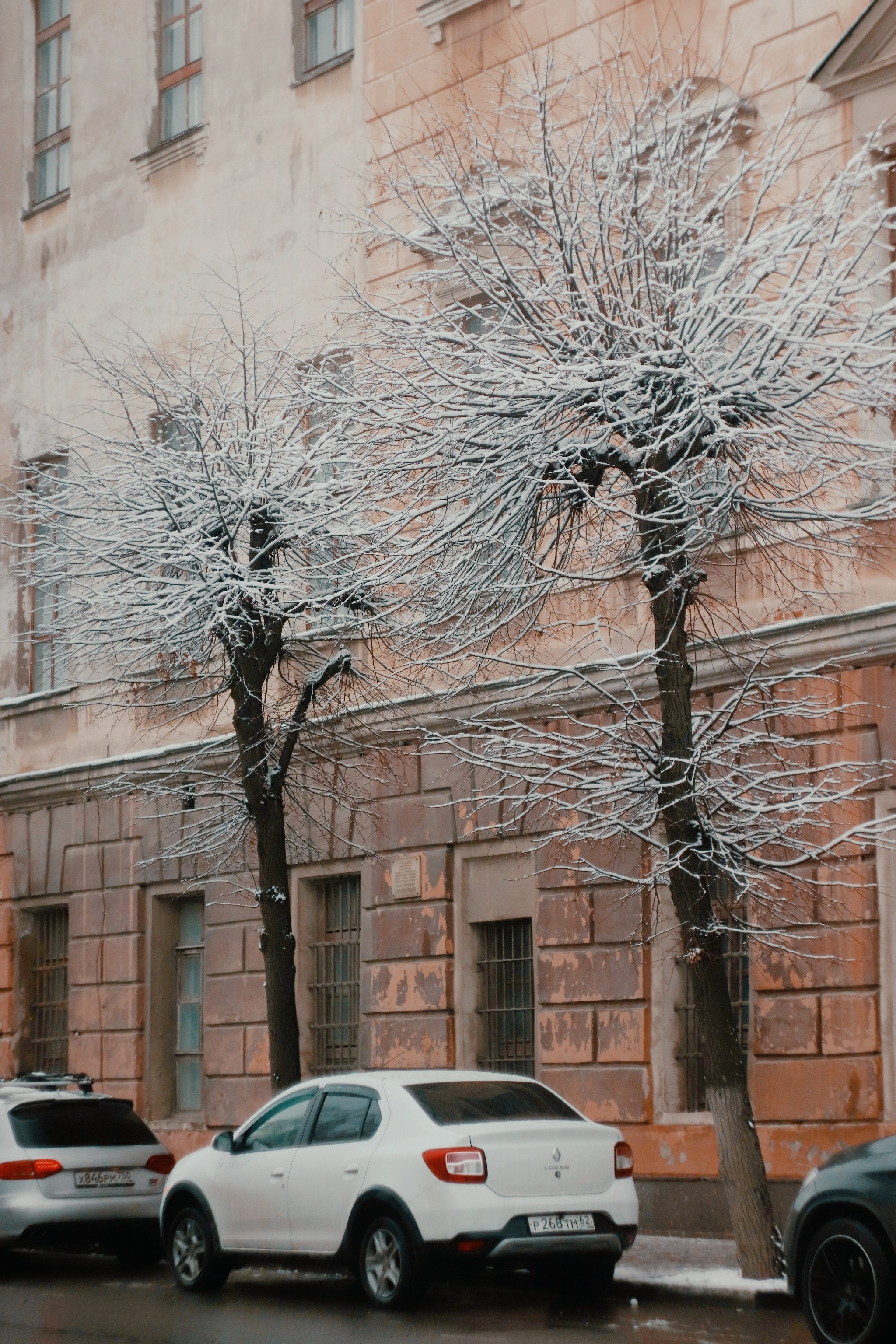 Ноябрьский снег. С любовью, фотохудожник