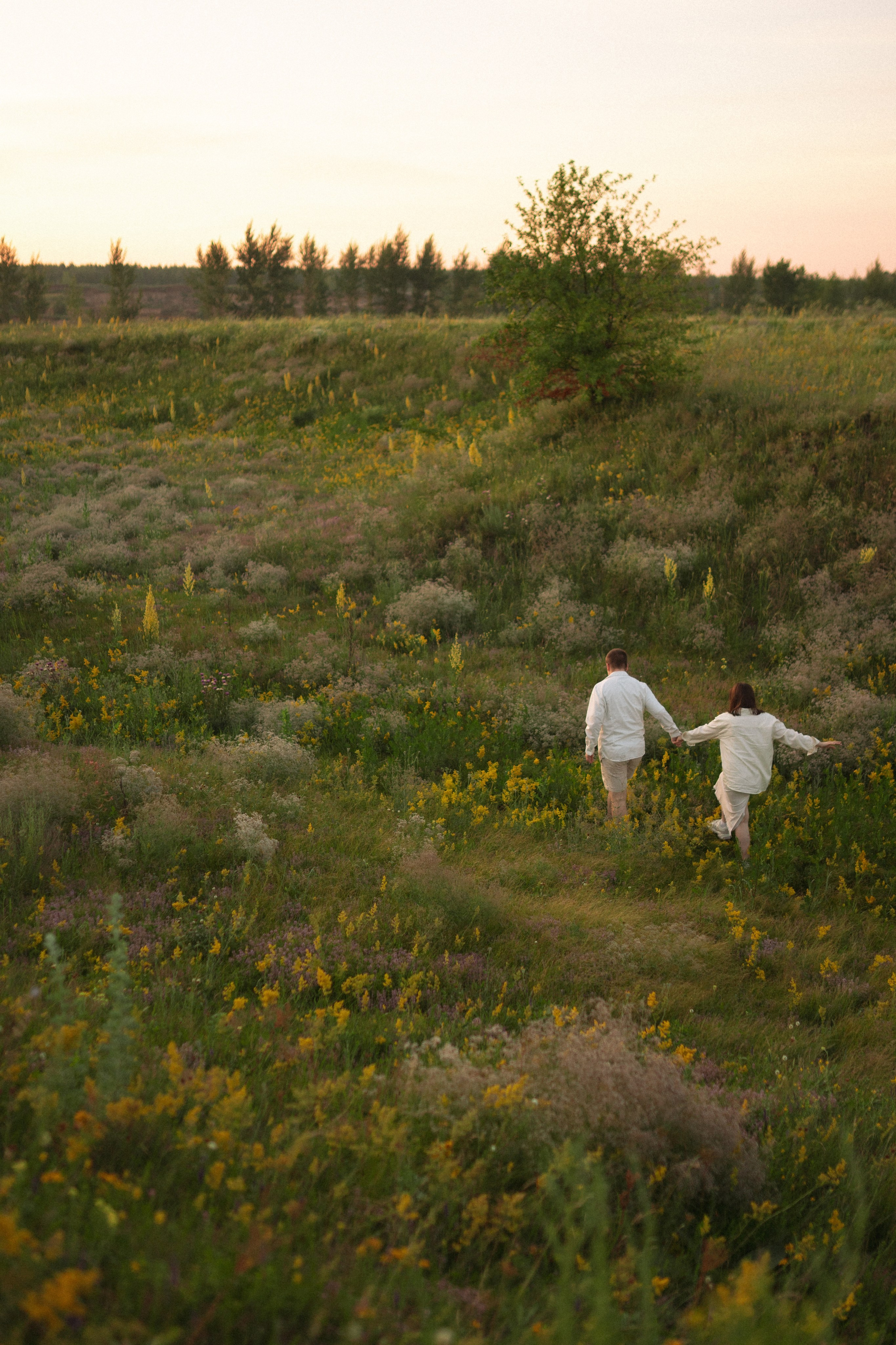 Поле. Фотограф Мария Зайчик