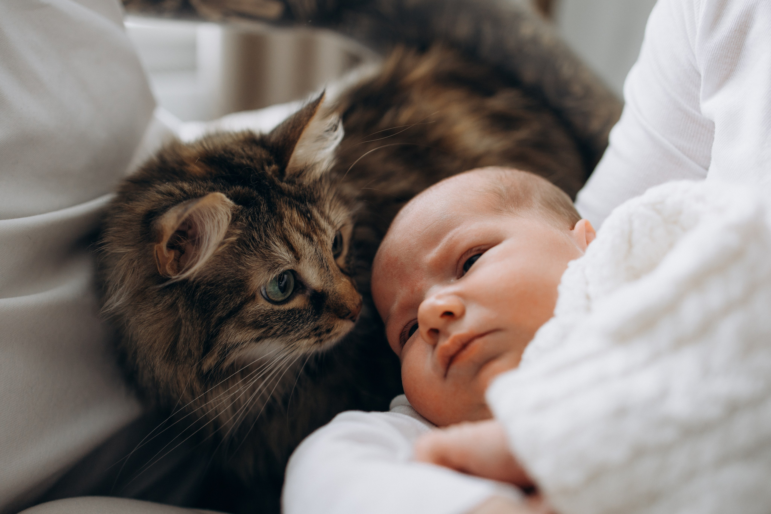 Малышка Вера. Семеный, Детский, Love story фотограф