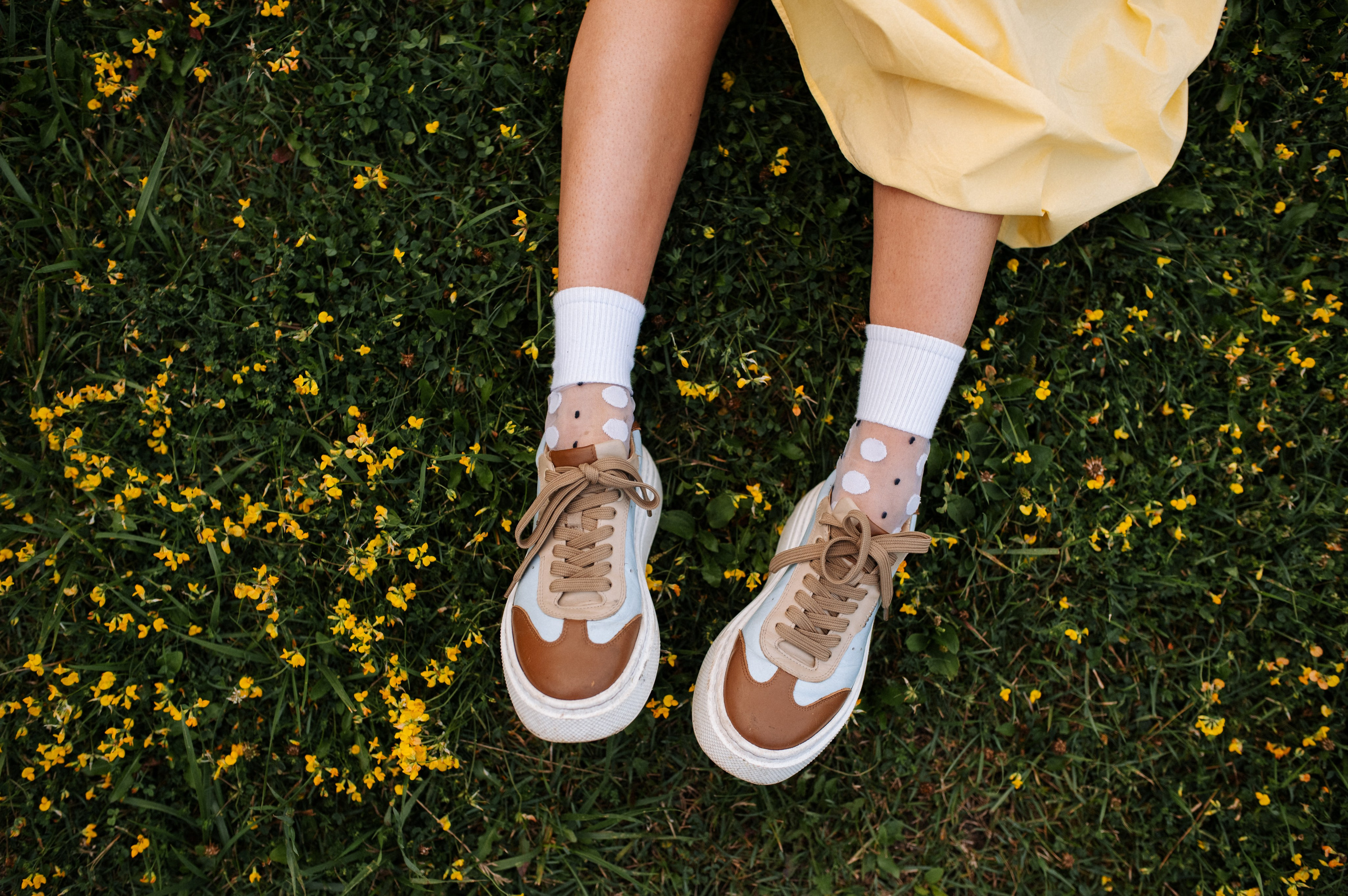 Хвост, смех и лучшие подруги. Фотограф анималист в Москве Ольга Агушева