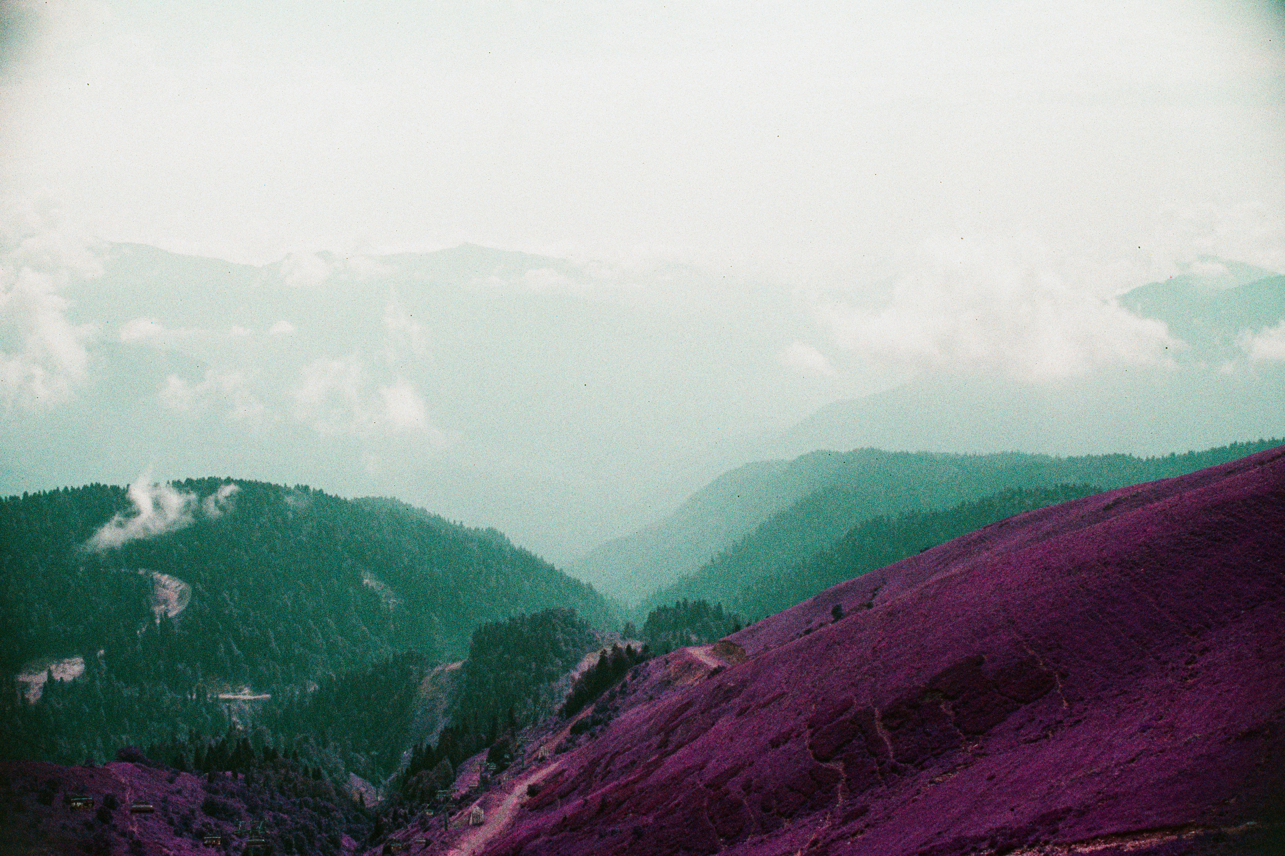 Автор: Виктор Езчелик