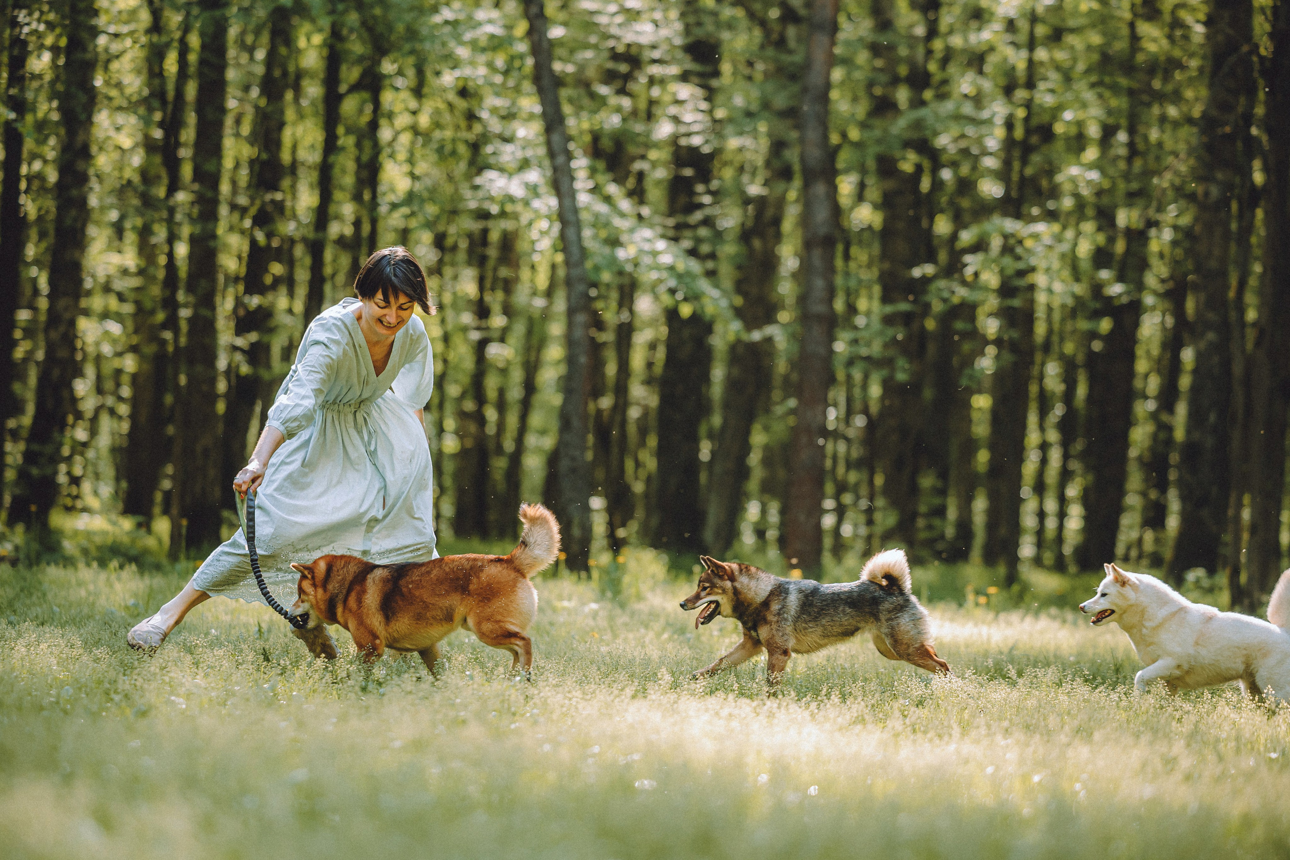 Шед, Цири, Чиби, Цера и их семья