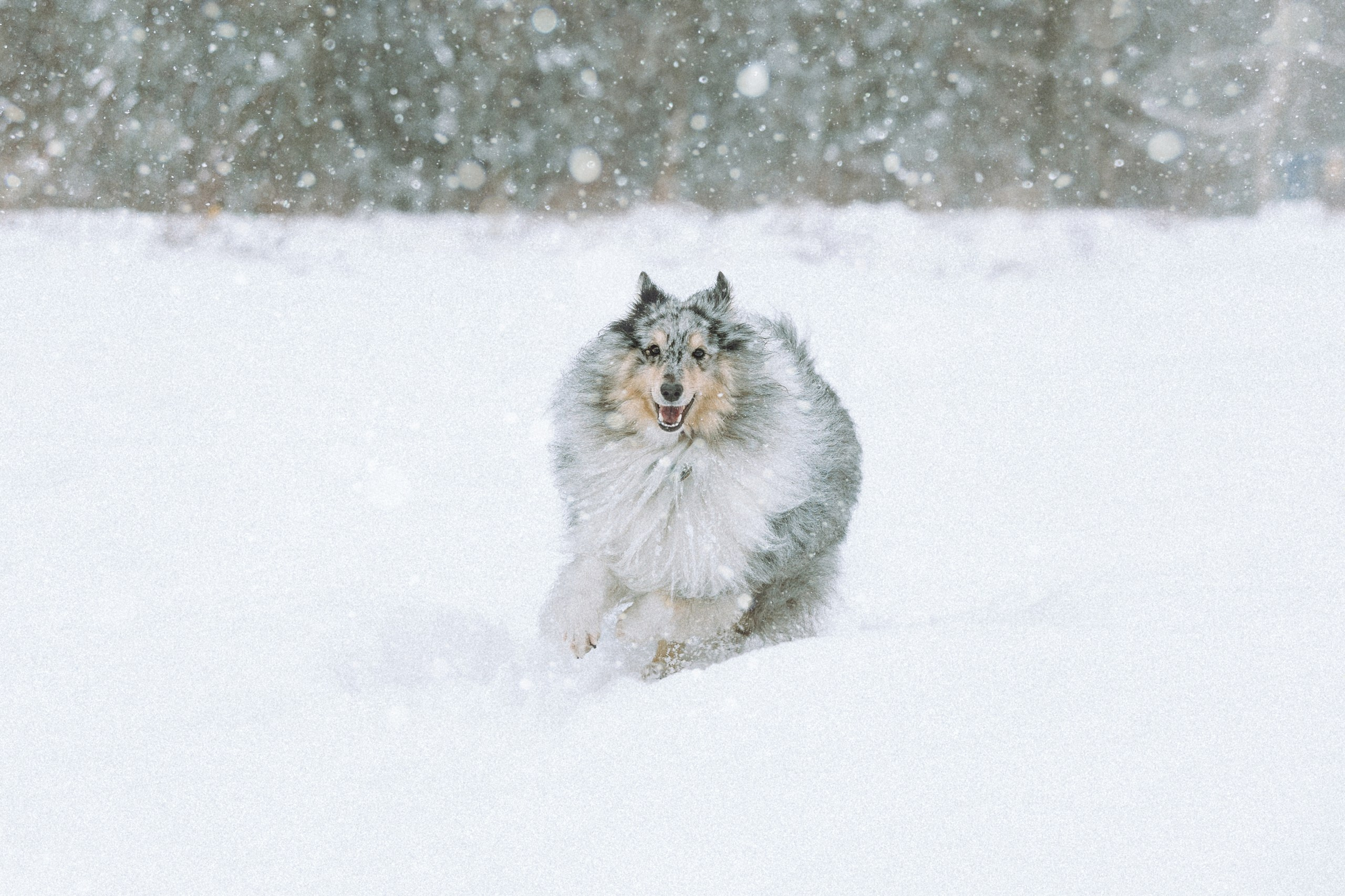 Как фотографировать зимой и сохранить технику?