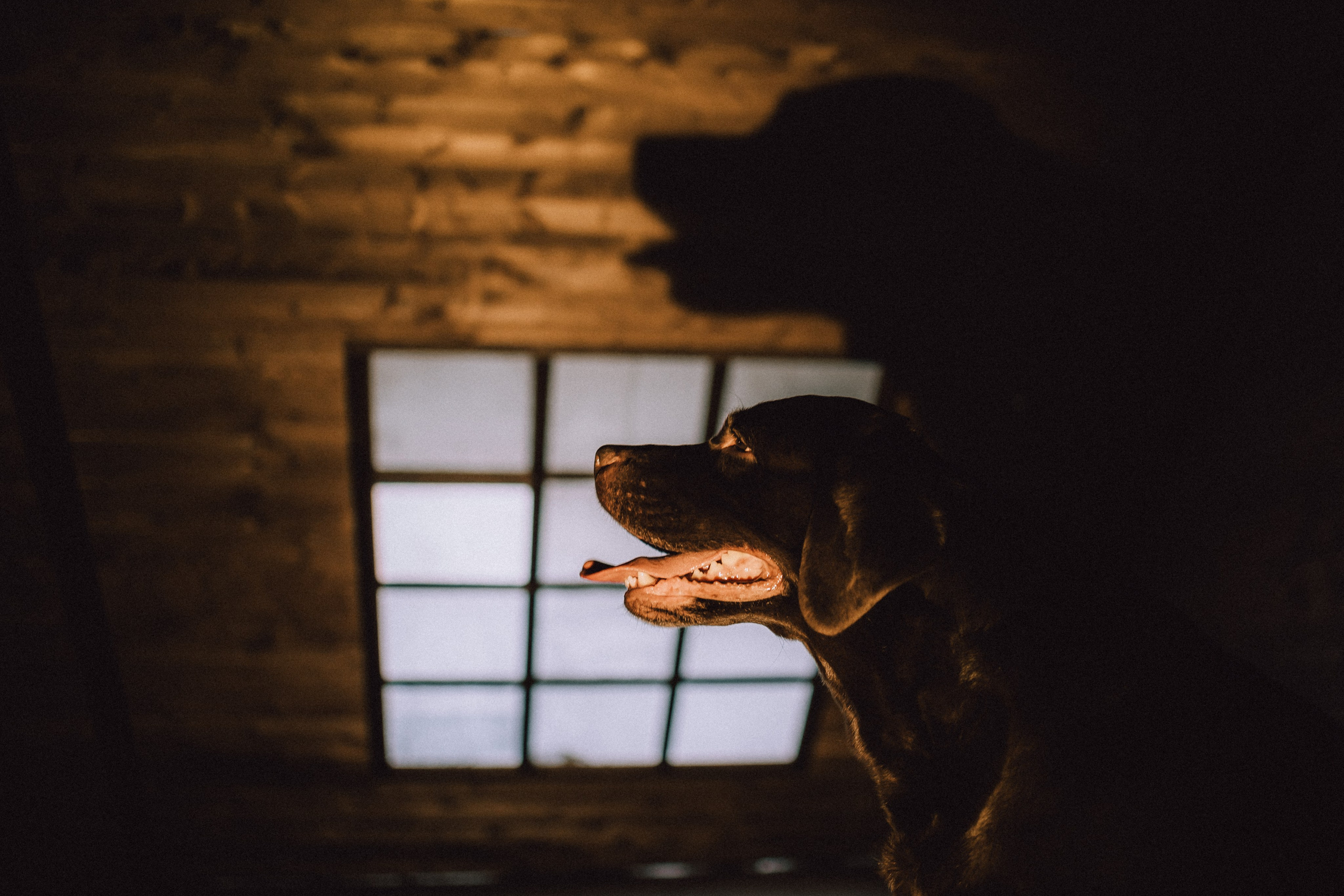 Ума, Берта и их семья