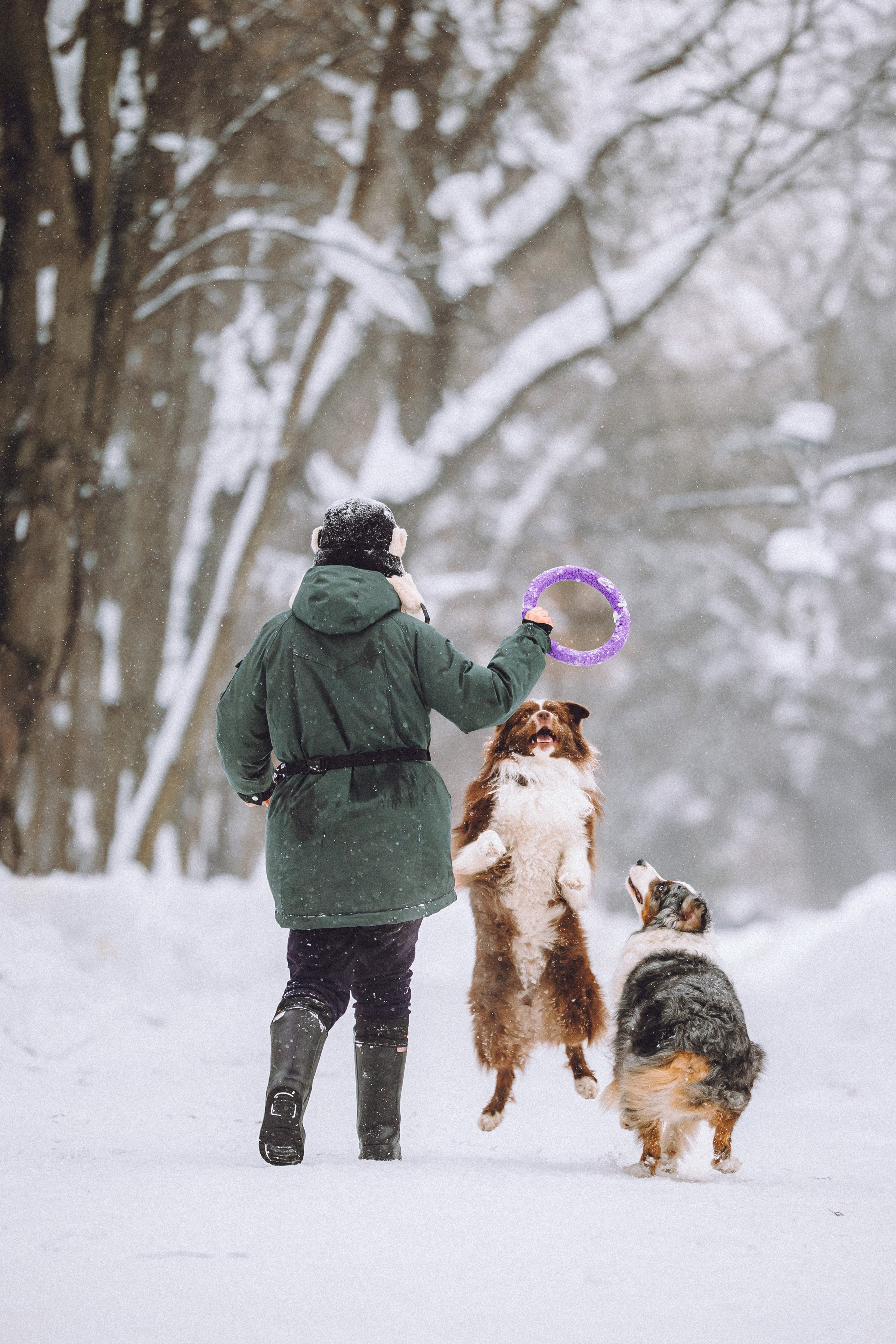 Лена, Принц и Фенек