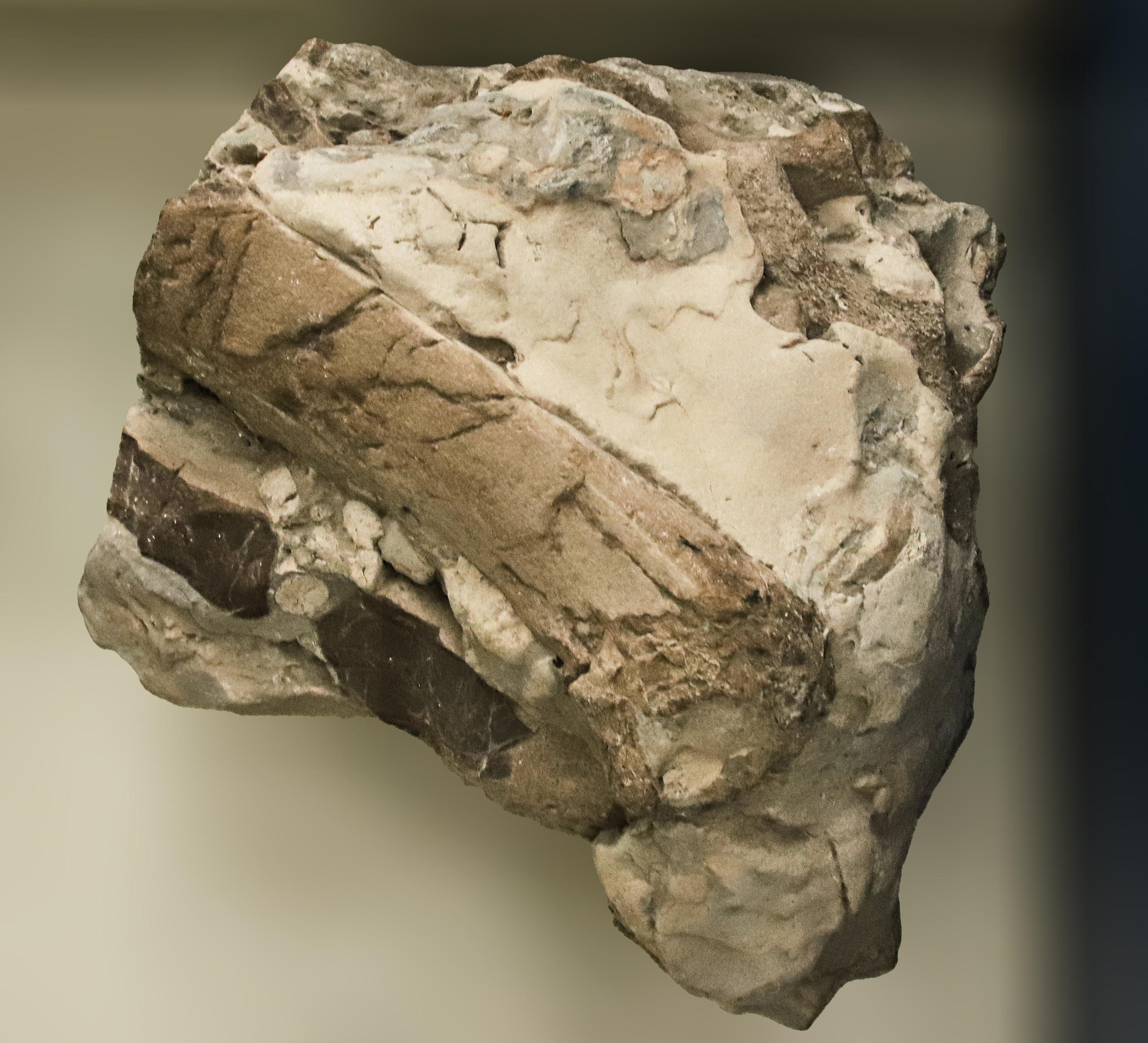 Каменная летопись. Фотограф Юлия Маринина