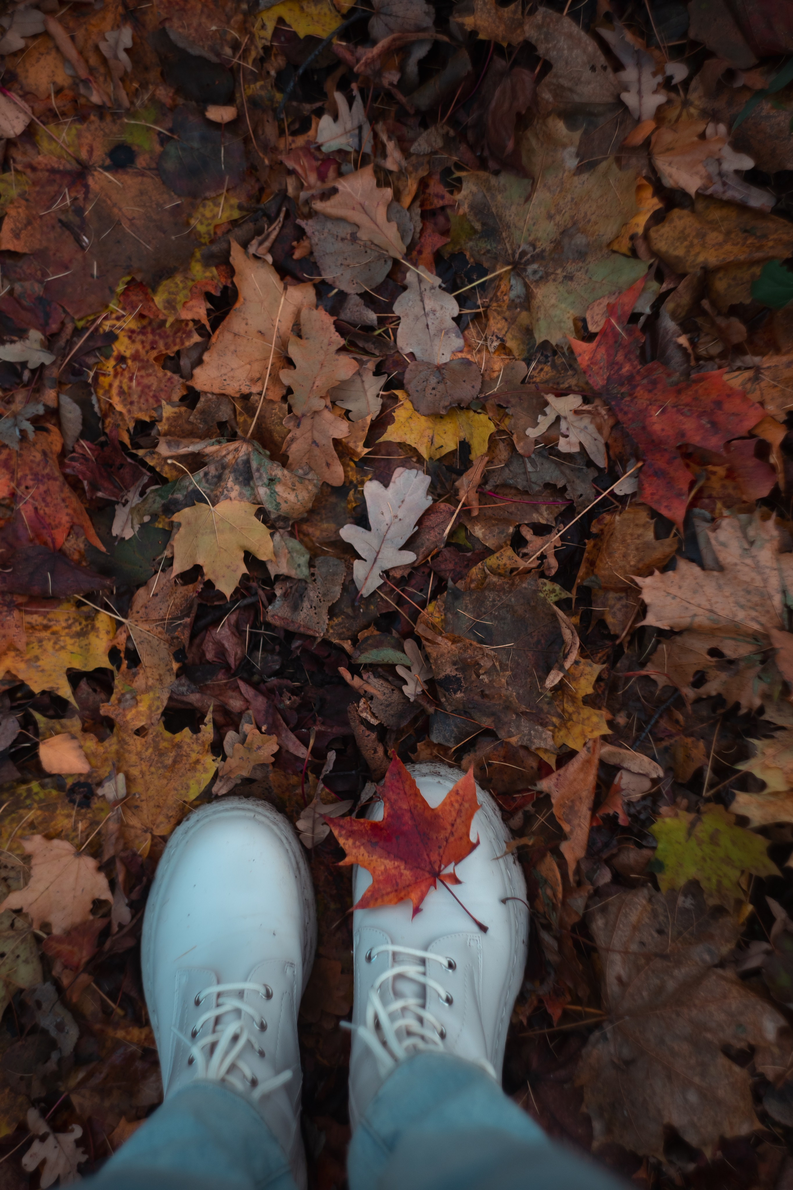 Ноябрь 2023. Efremovaphoto.ru