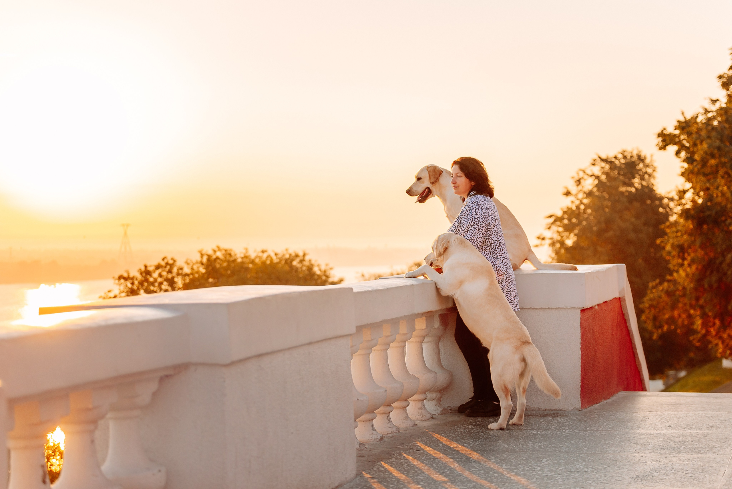 Екатерина, Урал и Бест. Фотограф-анималист Анастасия Парфенова|Екатеринбург