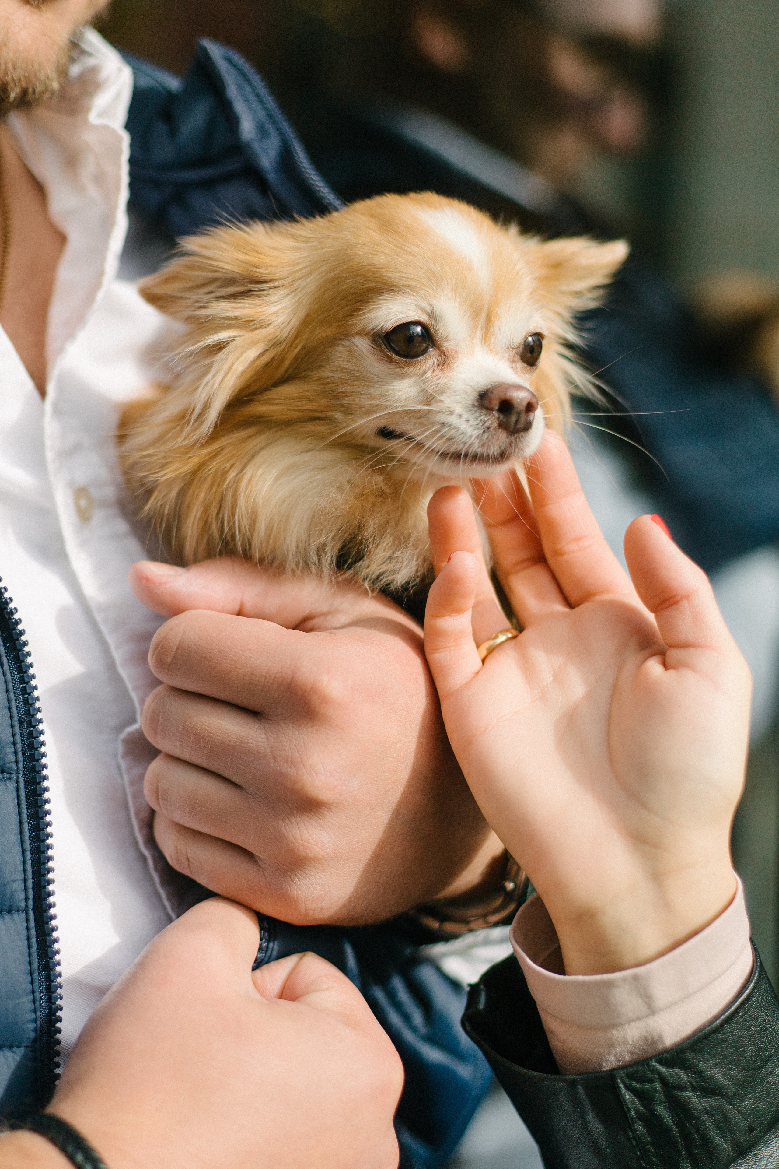 Вика и Тарас. Свадебный фотограф Москва Воронеж Ленкова Ксения