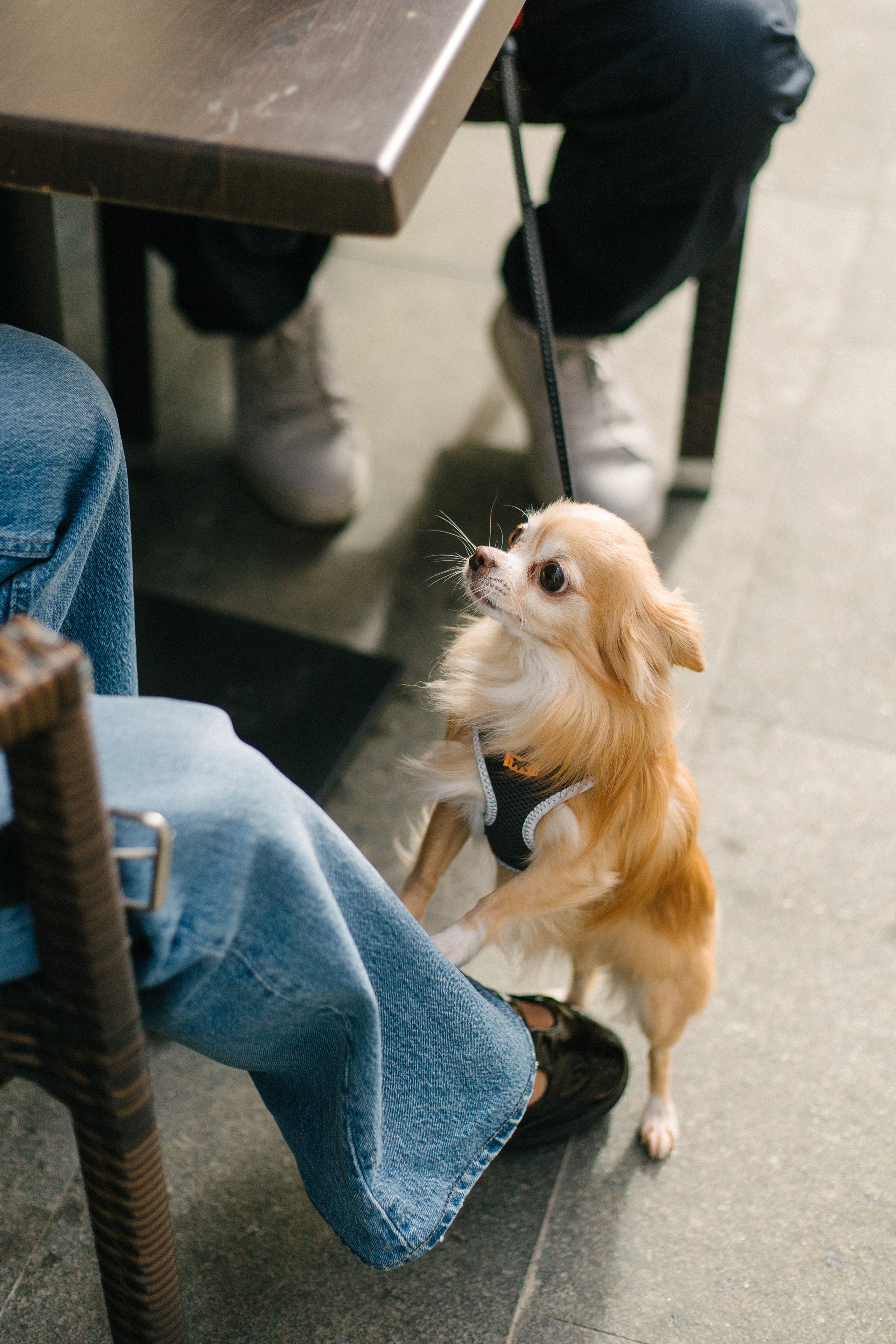 Вика и Тарас. Свадебный фотограф Москва Воронеж Ленкова Ксения