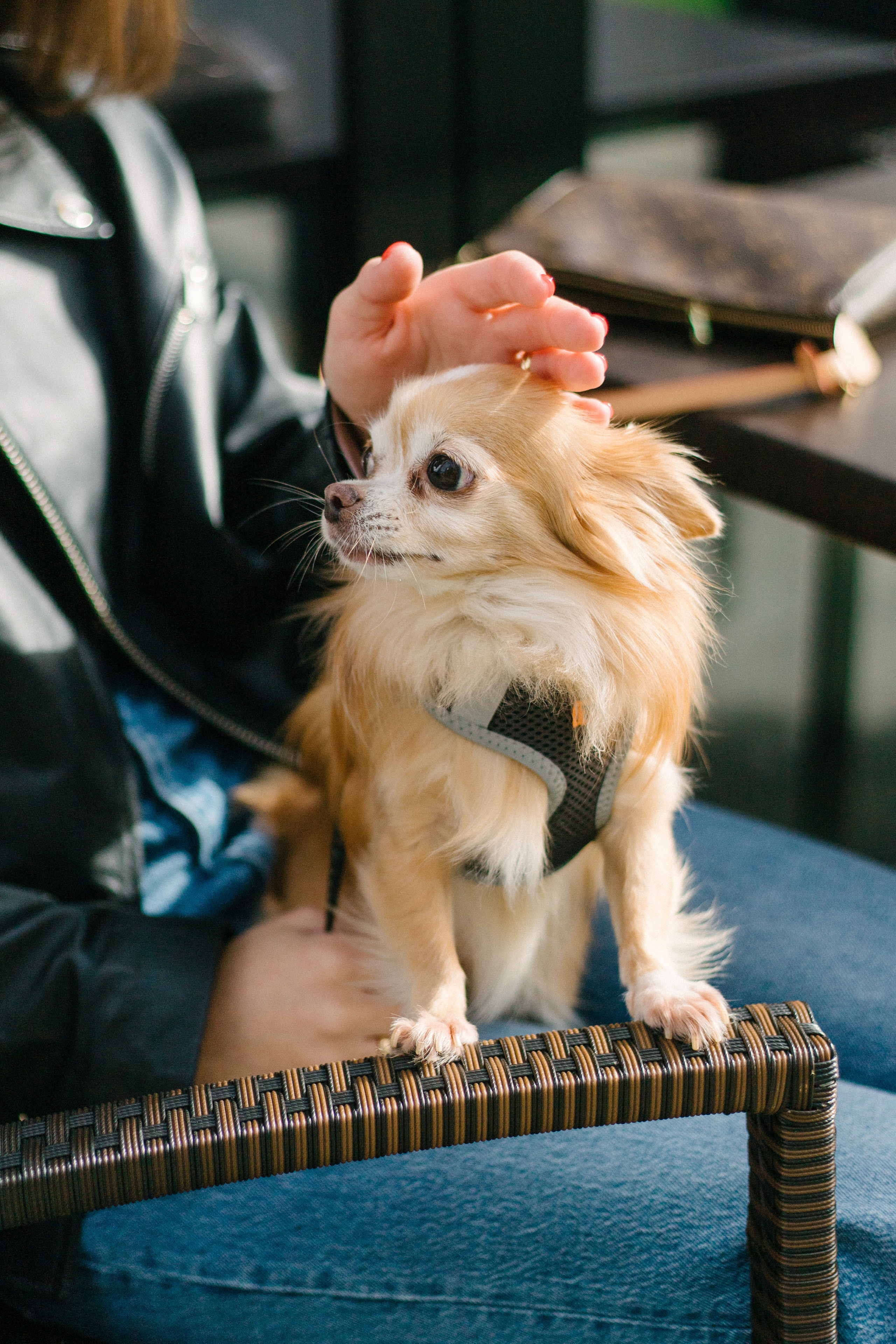 Вика и Тарас. Свадебный фотограф Москва Воронеж Ленкова Ксения