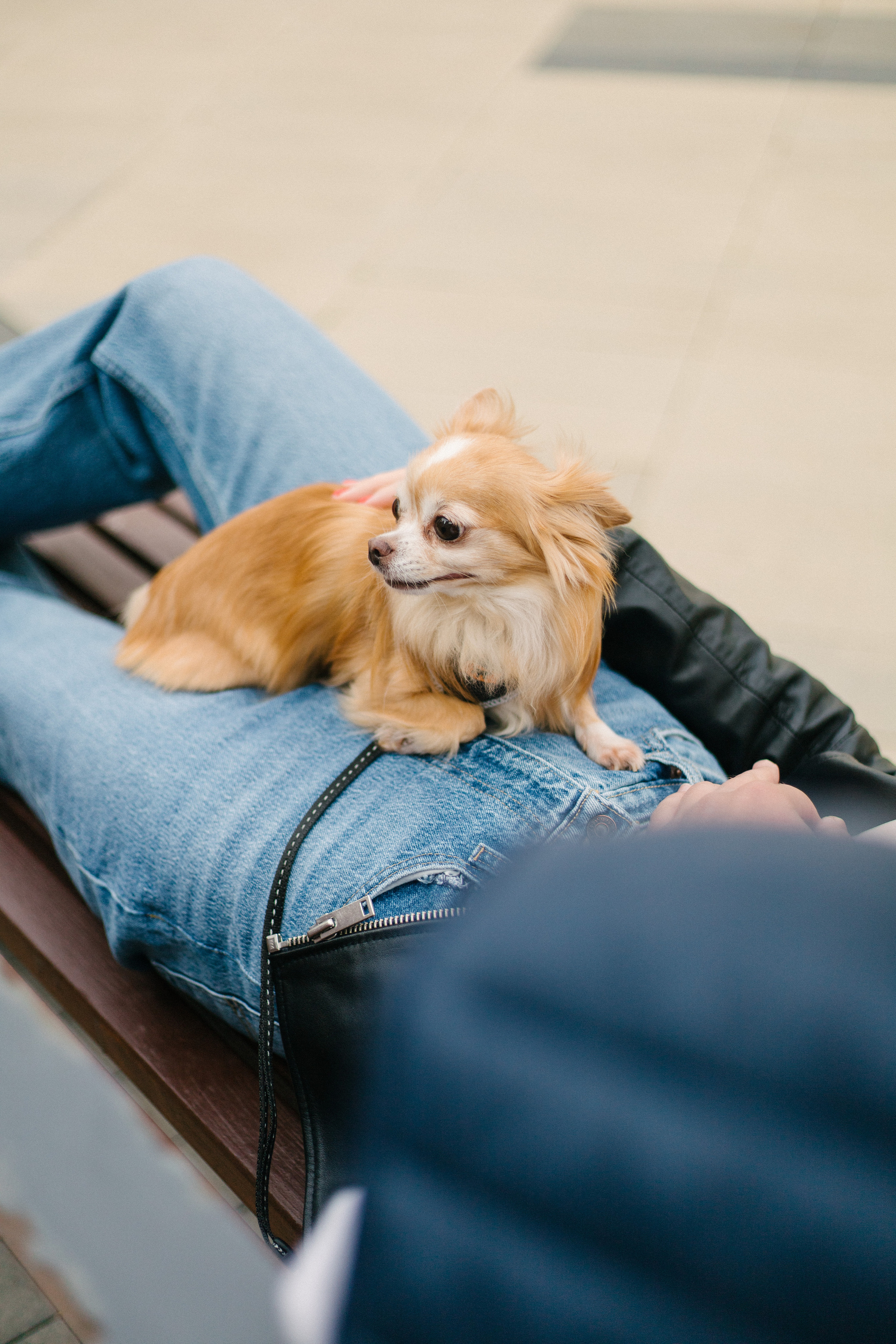 Вика и Тарас. Свадебный фотограф Москва Воронеж Ленкова Ксения