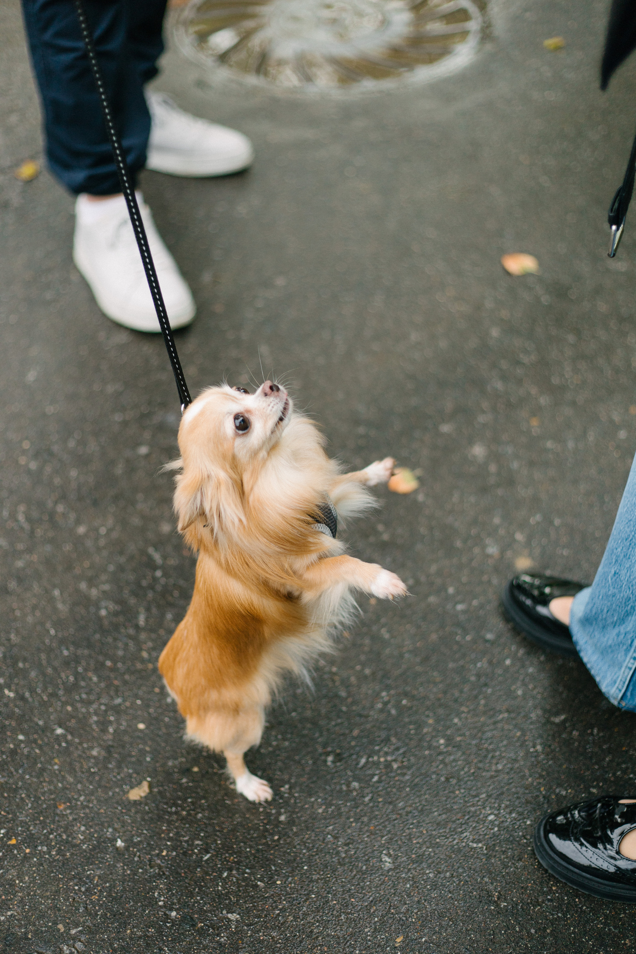 Вика и Тарас. Свадебный фотограф Москва Воронеж Ленкова Ксения