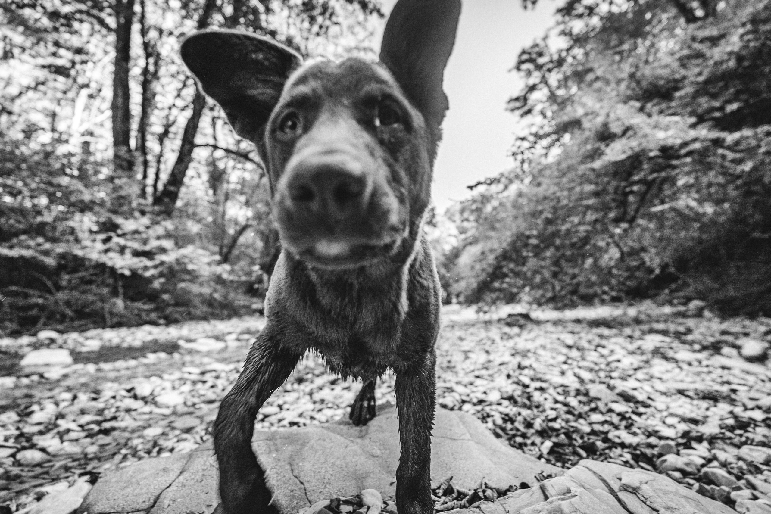 Поход на Полковничьи водопады АСК 26.09.23. Репортажный фотограф в Краснодаре Рындин Дмитрий