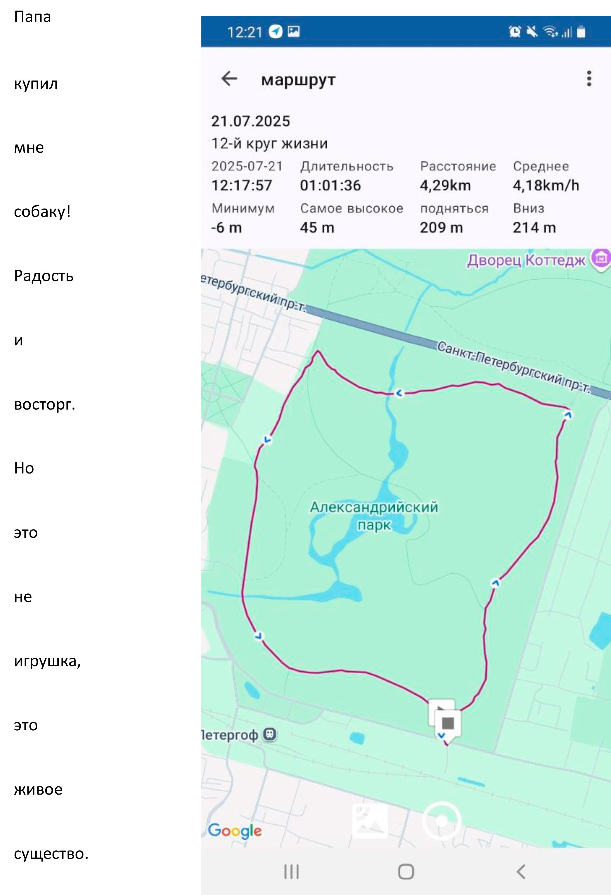 Мария Пичугина — Круги жизни