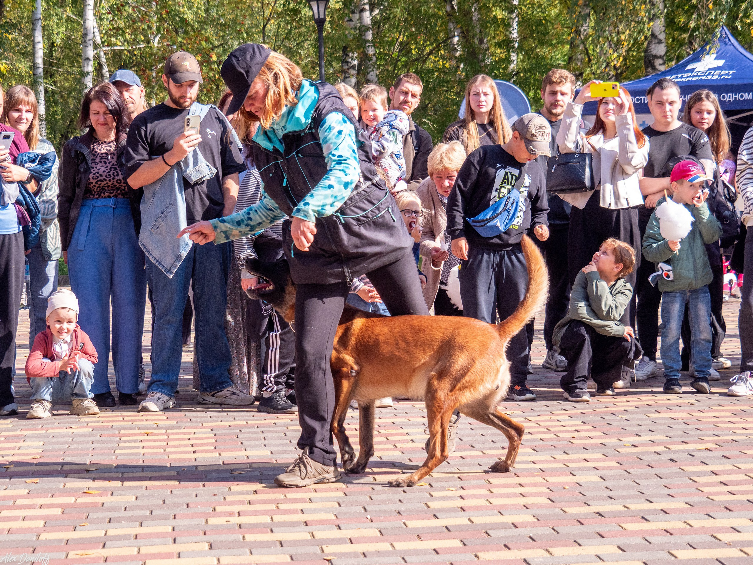 Обнимака 2025. Муром-Инфо. Новости культуры, образования, спорта в городе Муром