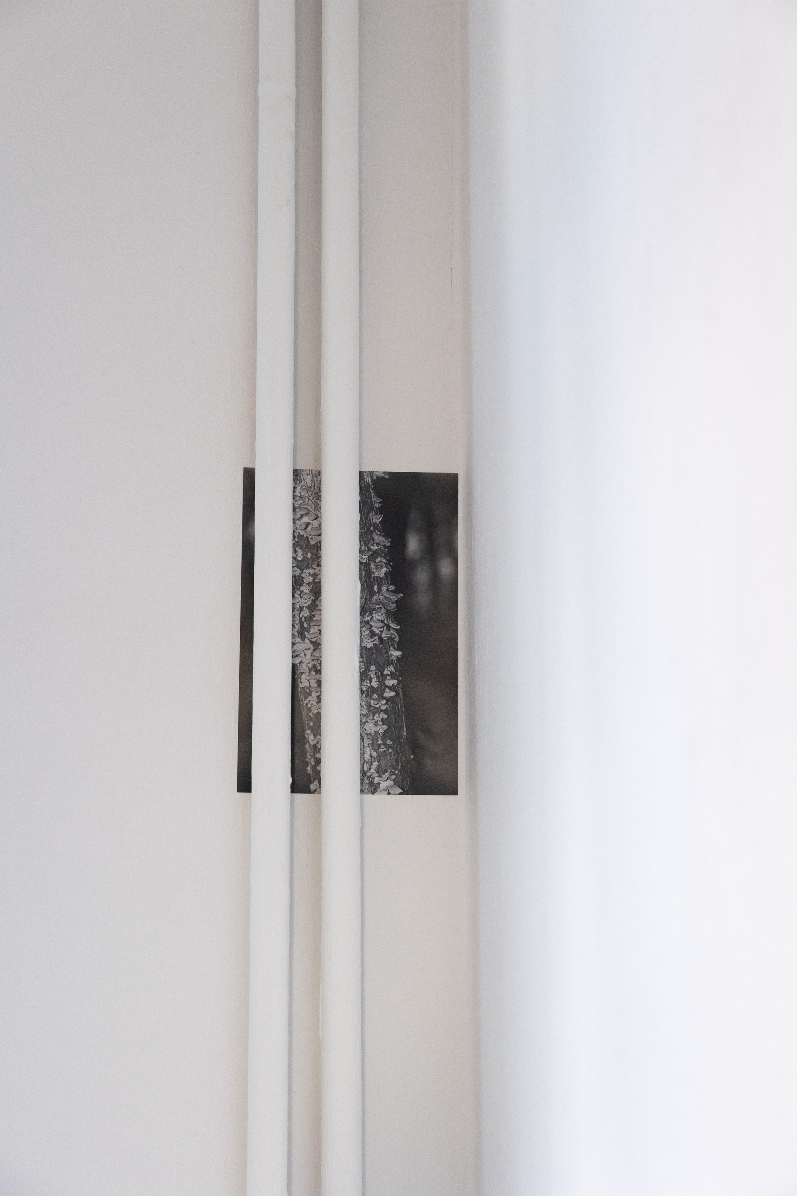 Personal exhibition Interior landscape 2025. Фотограф алина стерхова, алина стерхова фотограф, фотограф москва