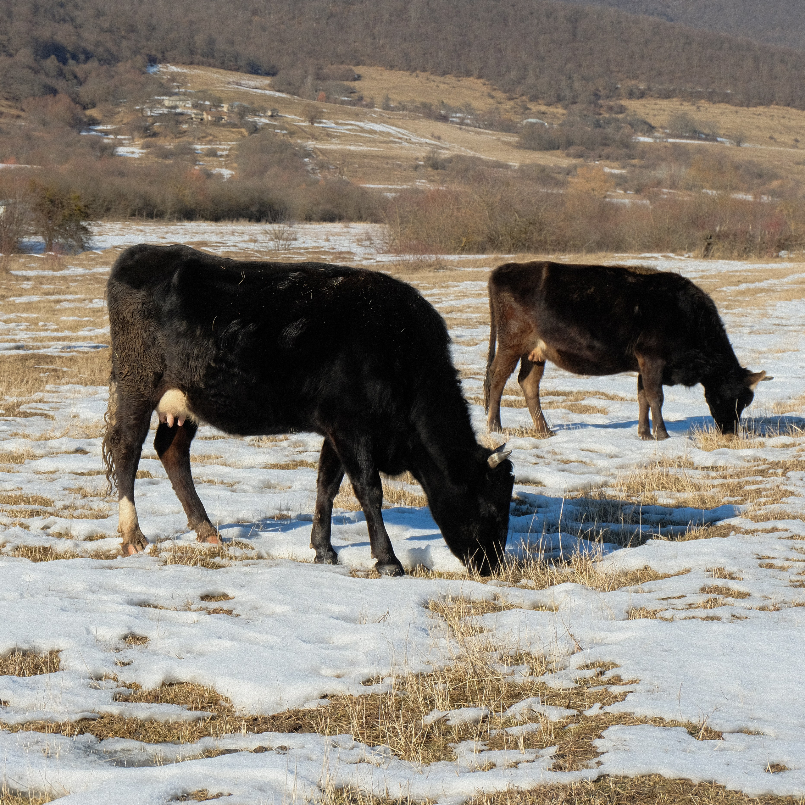 Georgia. Creative travel photographer — Berg Daria