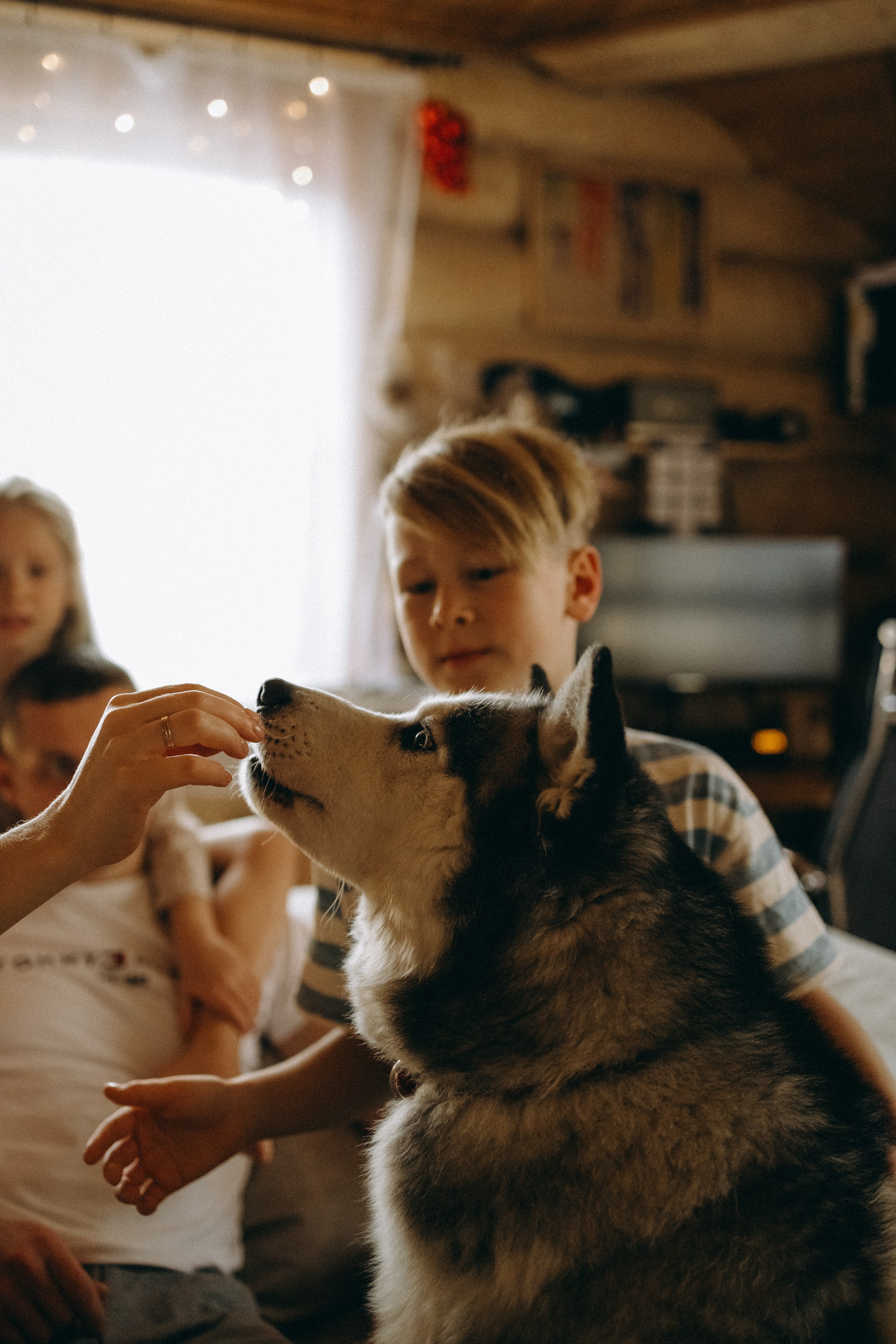 Федя, Лида, Леша, Катя. Главная