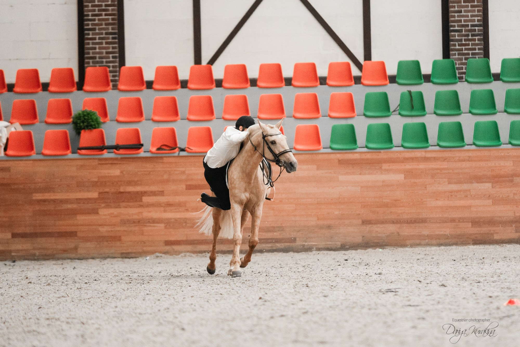 8-я международная выставка Конная Россия. Конный фотограф Куракина Дарья • Фотосессии с лошадьми