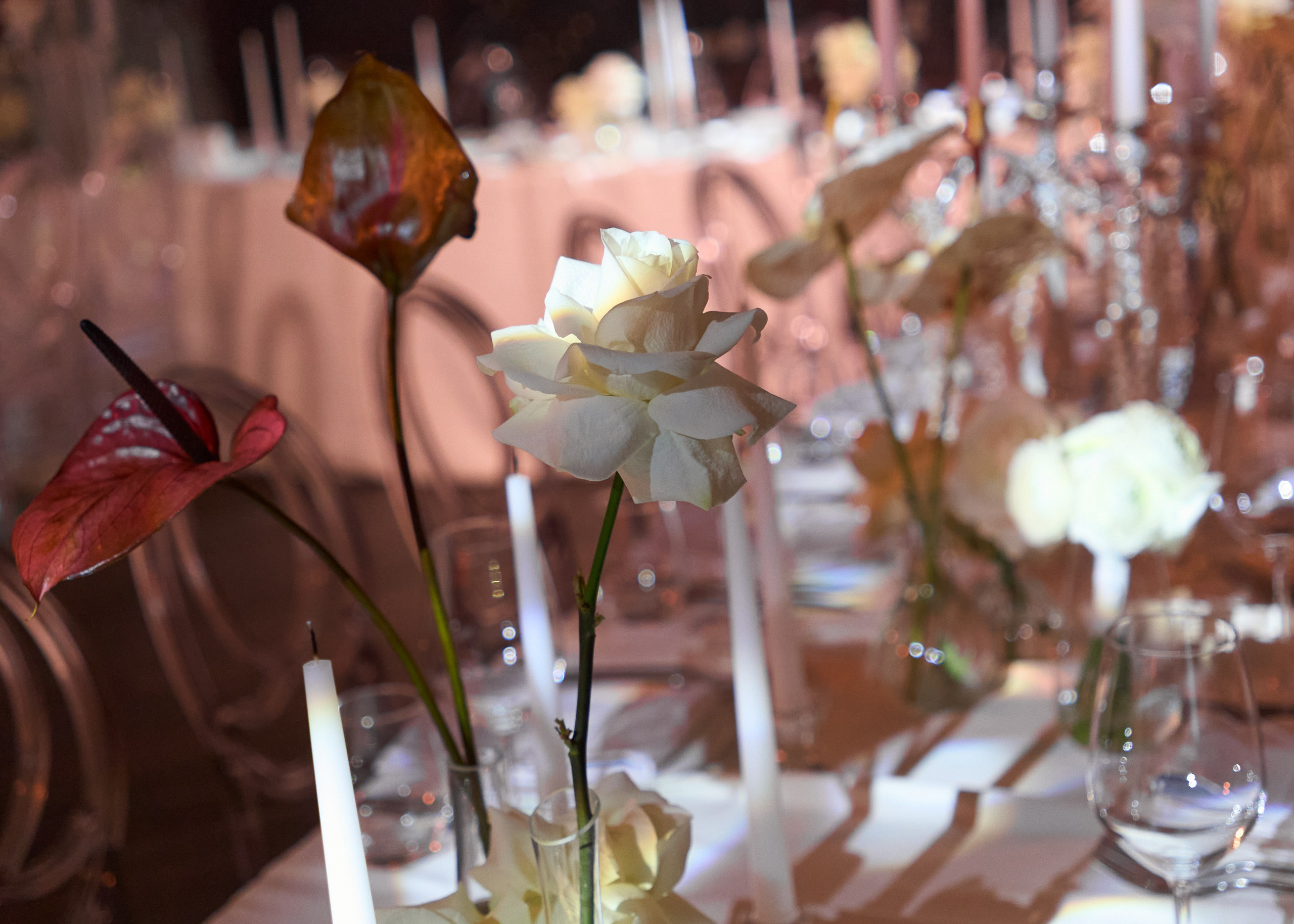 Boris & Sofia. Ксения Петровская — фотограф и видеограф