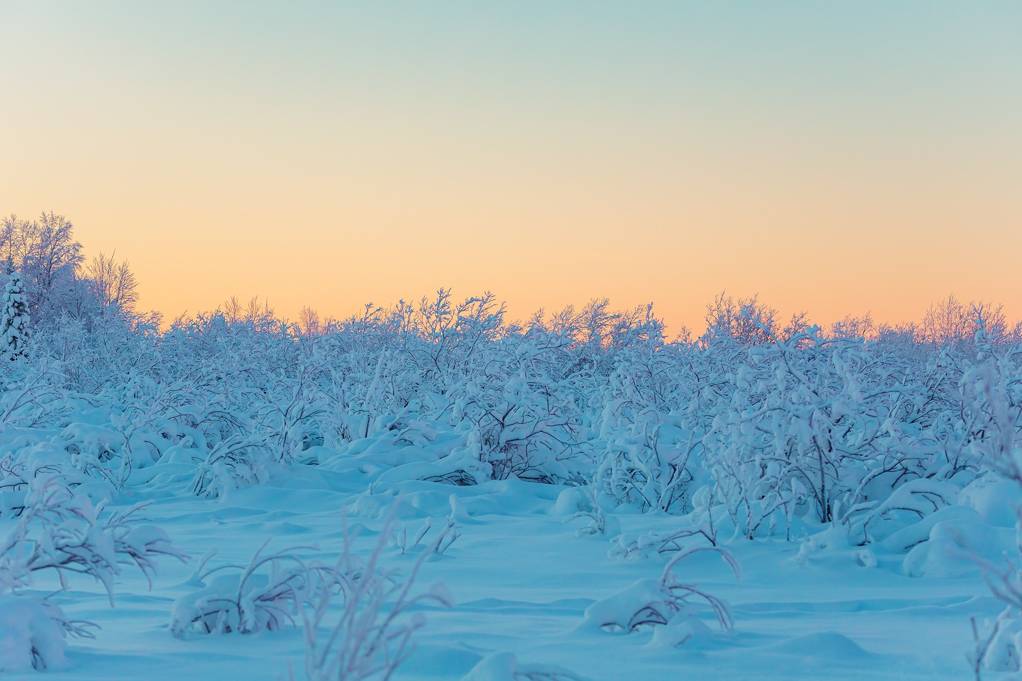Ненецкий автономный округ. Тревел-фотограф Елизавета Ларионова