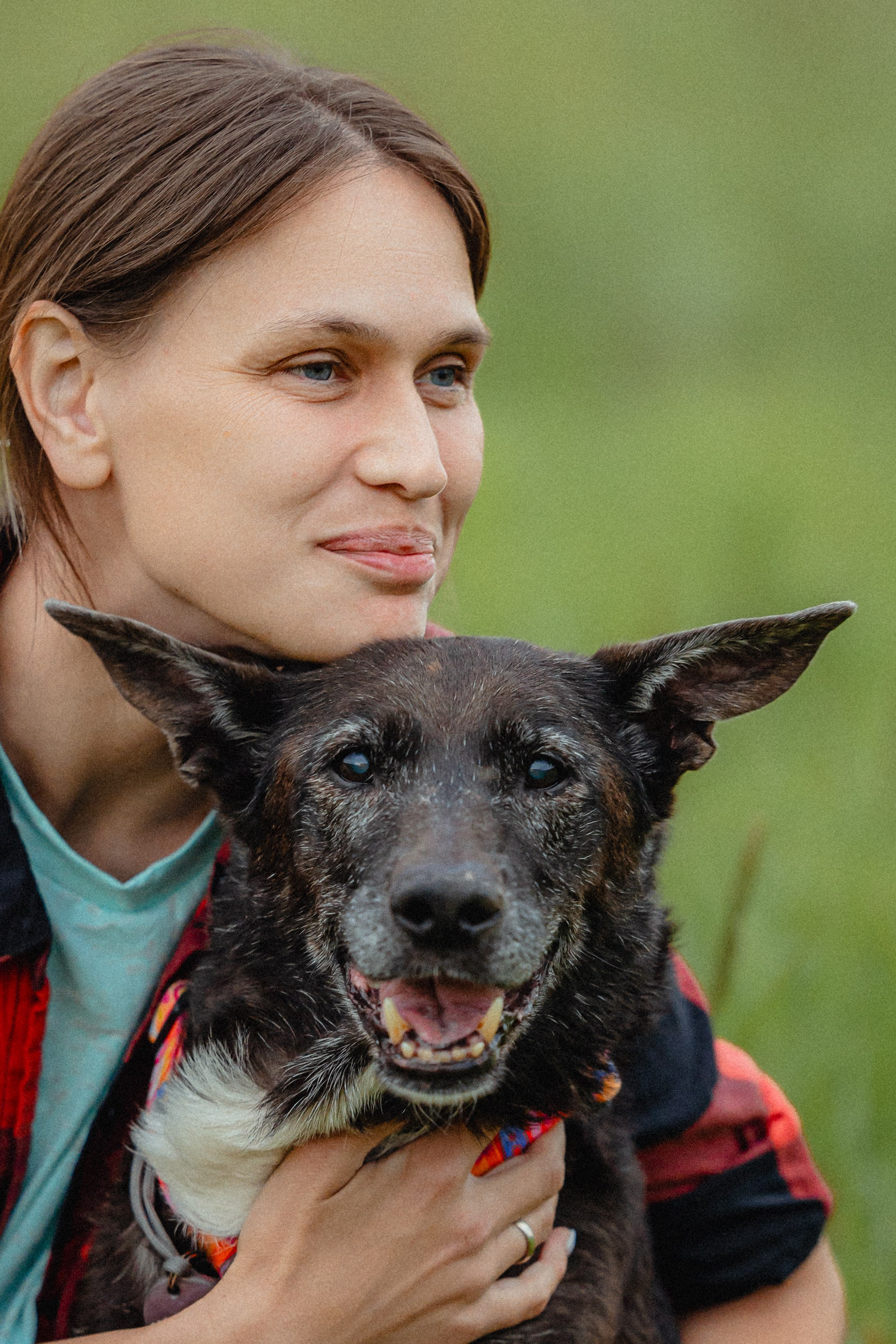 Выездной дог-тренинг от школы «Шерсть имею»