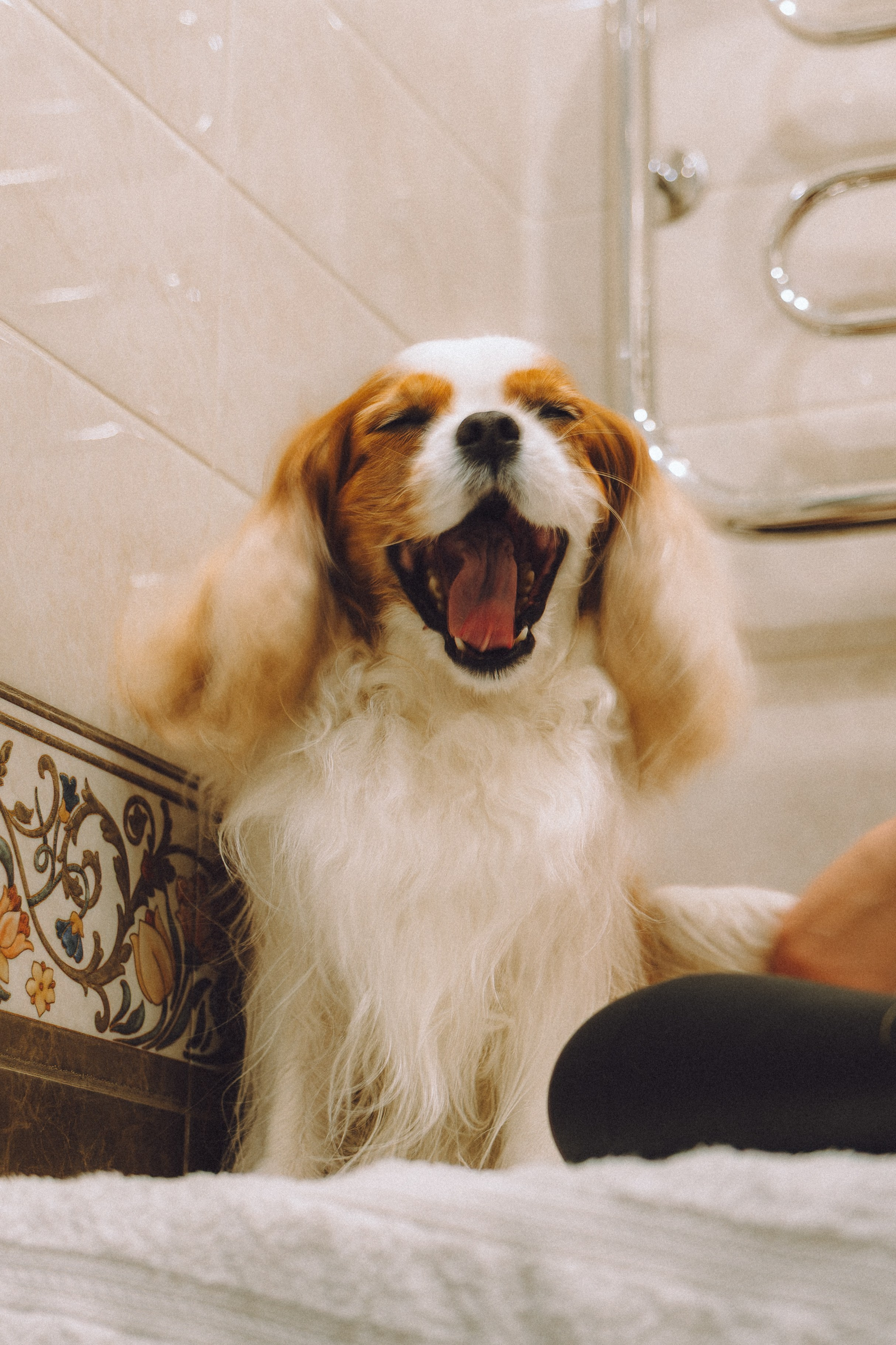 Наташа и Вики