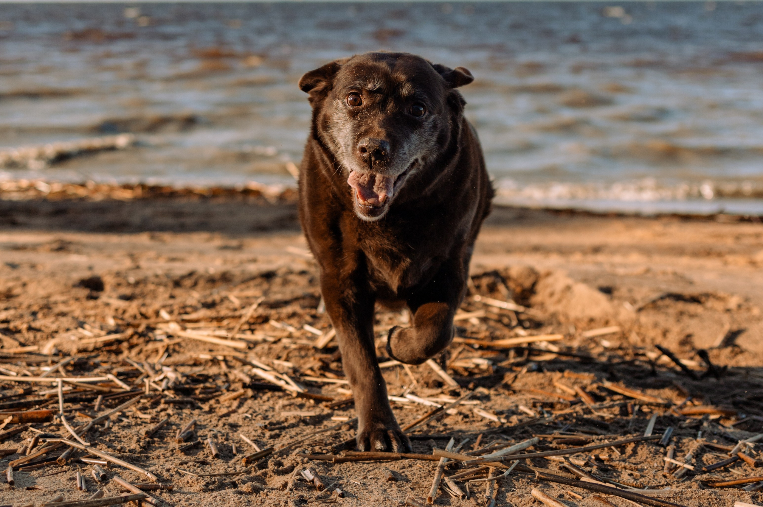 Оля и Питоня. Фотограф — Анималист | Санкт-Петербург