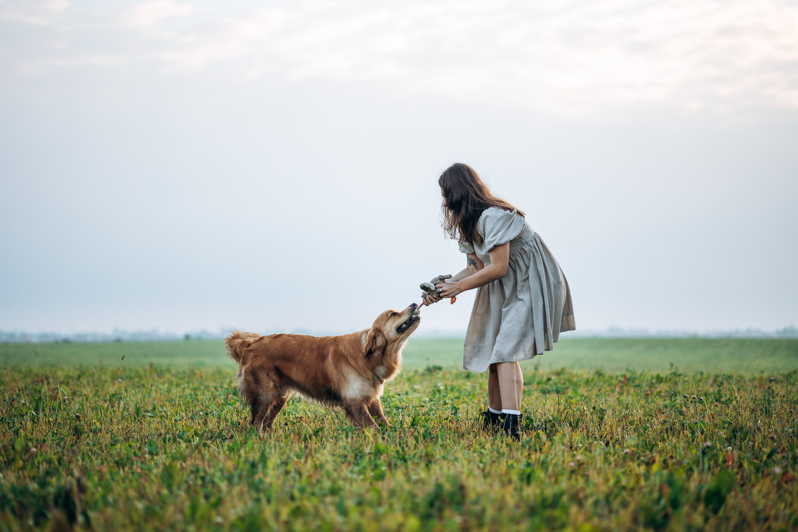 Аня и Ноллан. Фотограф — Анималист | Санкт-Петербург