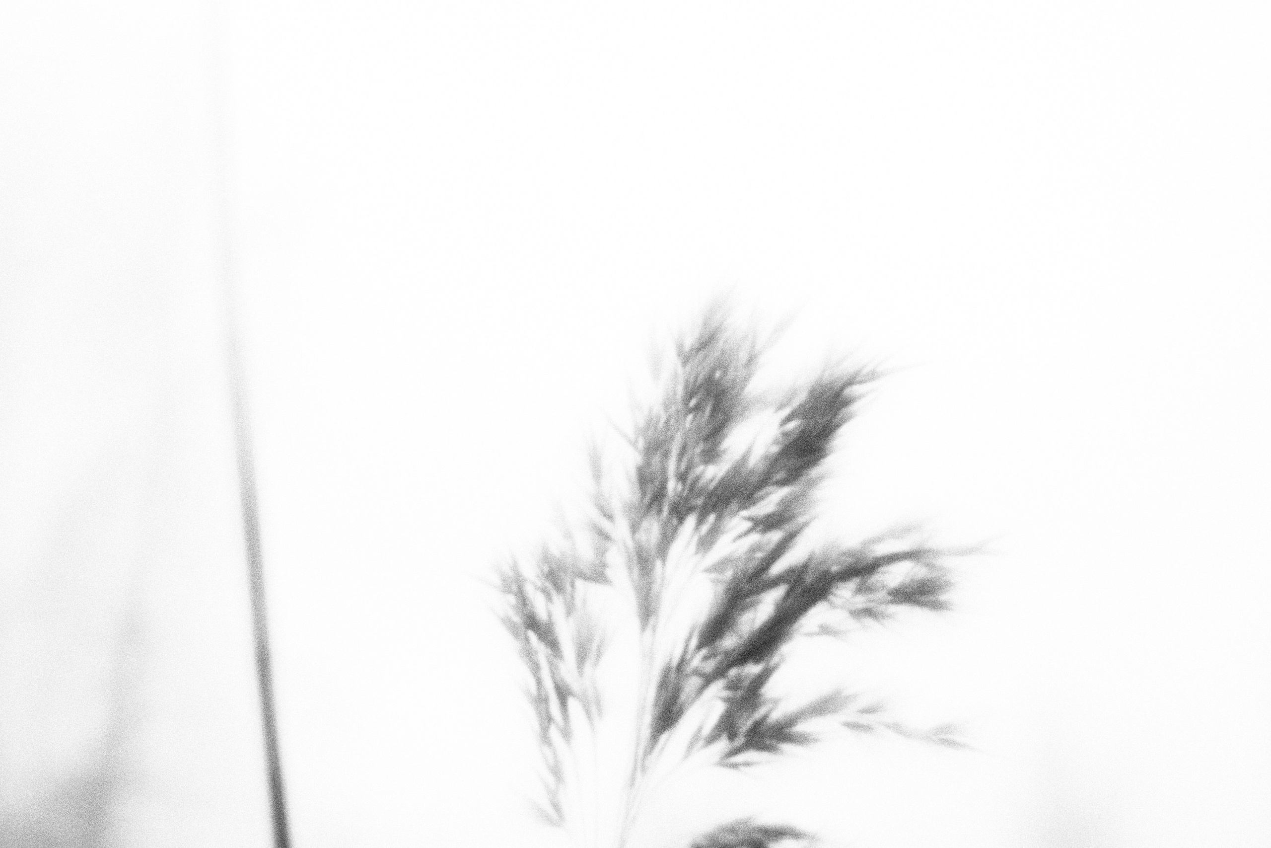 Внутривенные сны (2023)