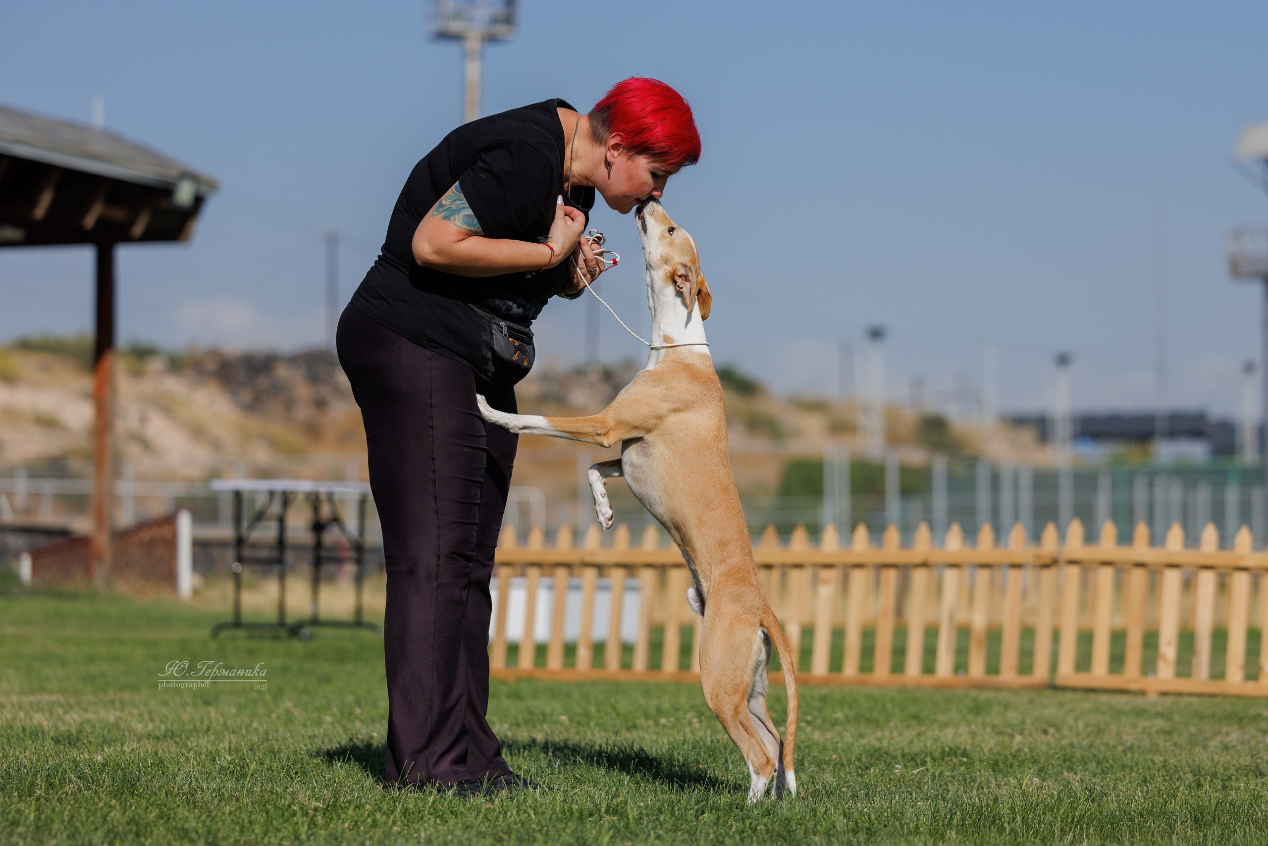 Ереван 3хCACIB 23-25.06.2025. Фотограф-анималист Юлия Германика