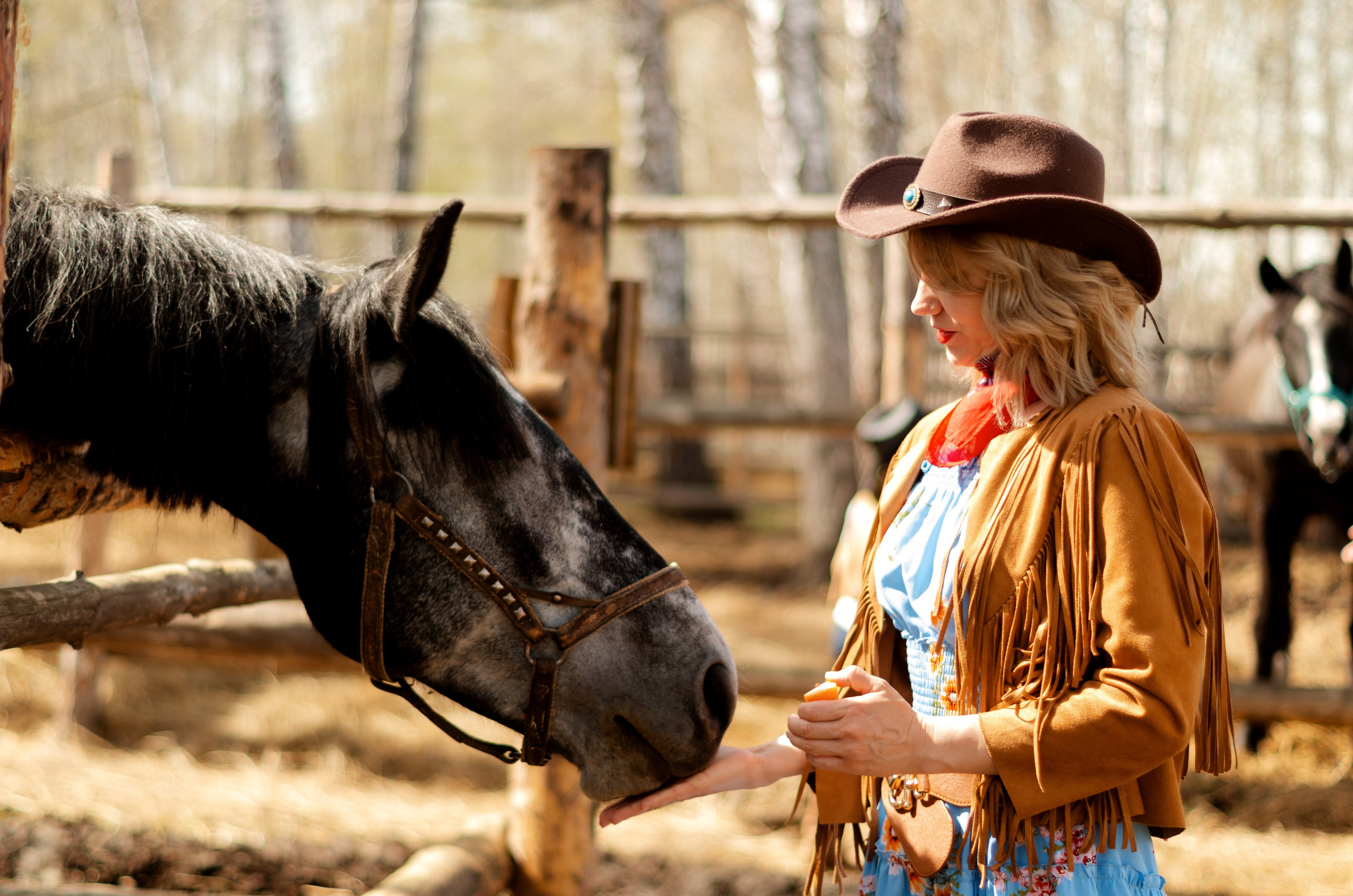 Western. Фотограф Марина Доглядная Челябинск фотосессии с лошадьми, мотоциклами