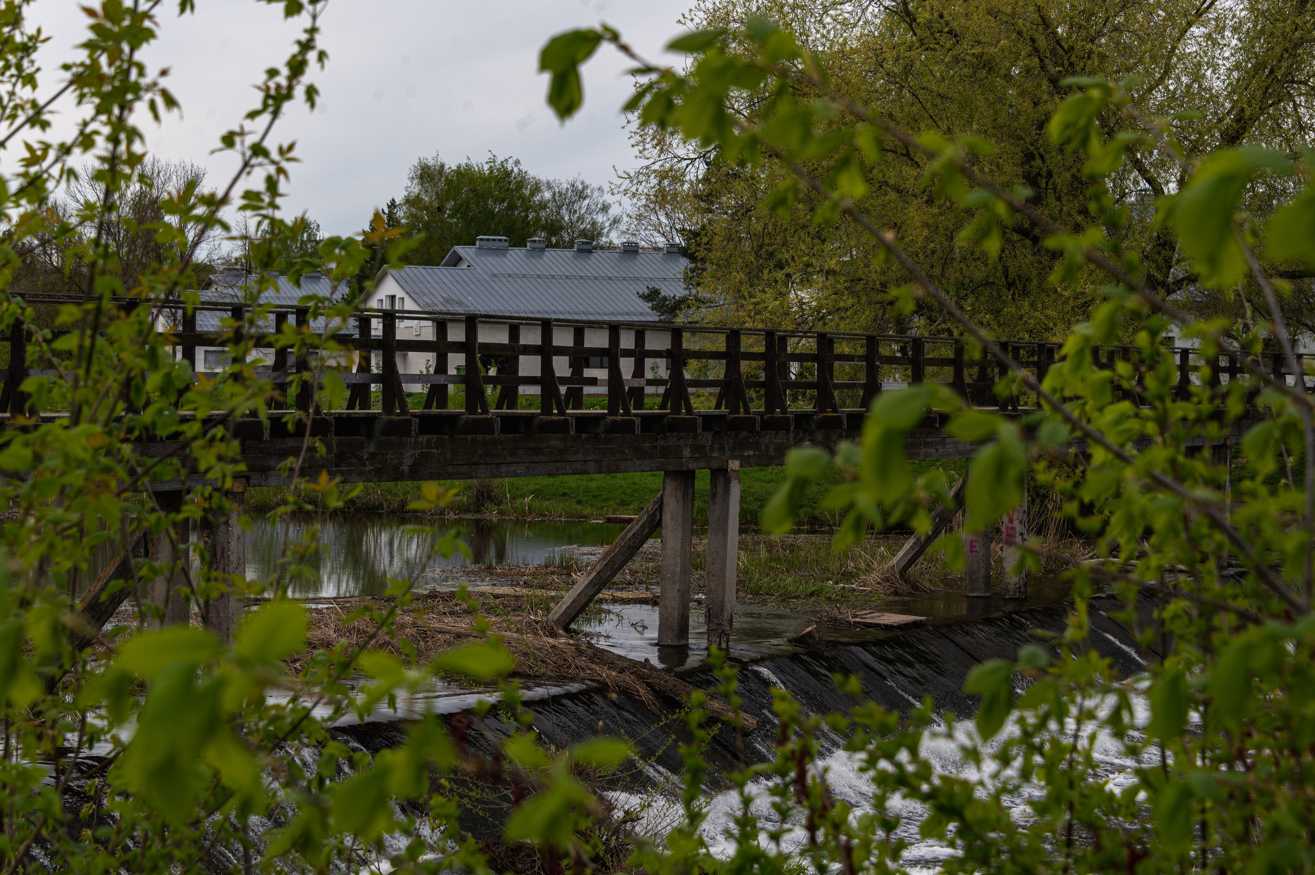 Суздаль. Май 2023. Фотограф Роман Адлер