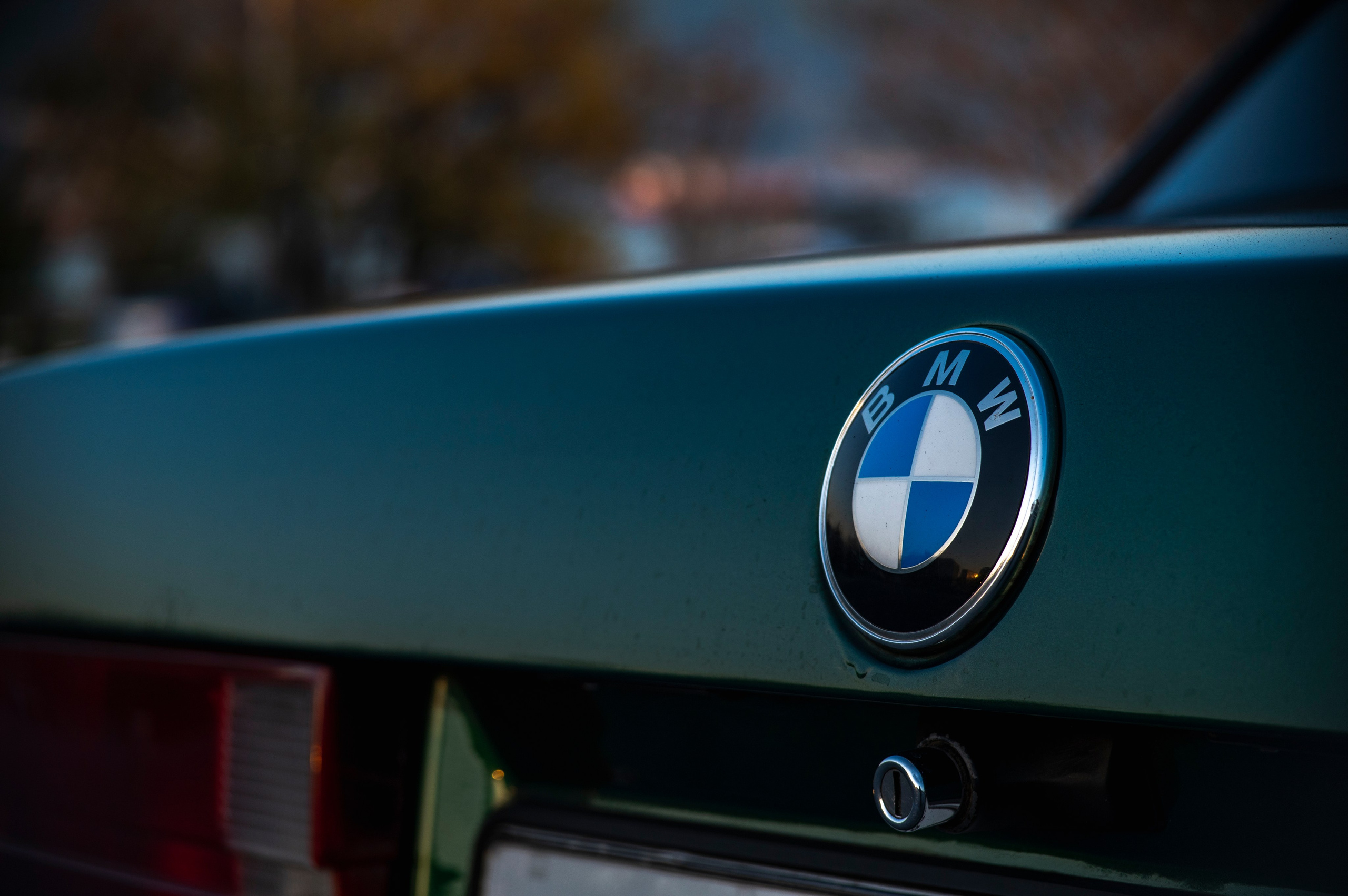 БМВ & Доберман. Фотограф Роман Адлер