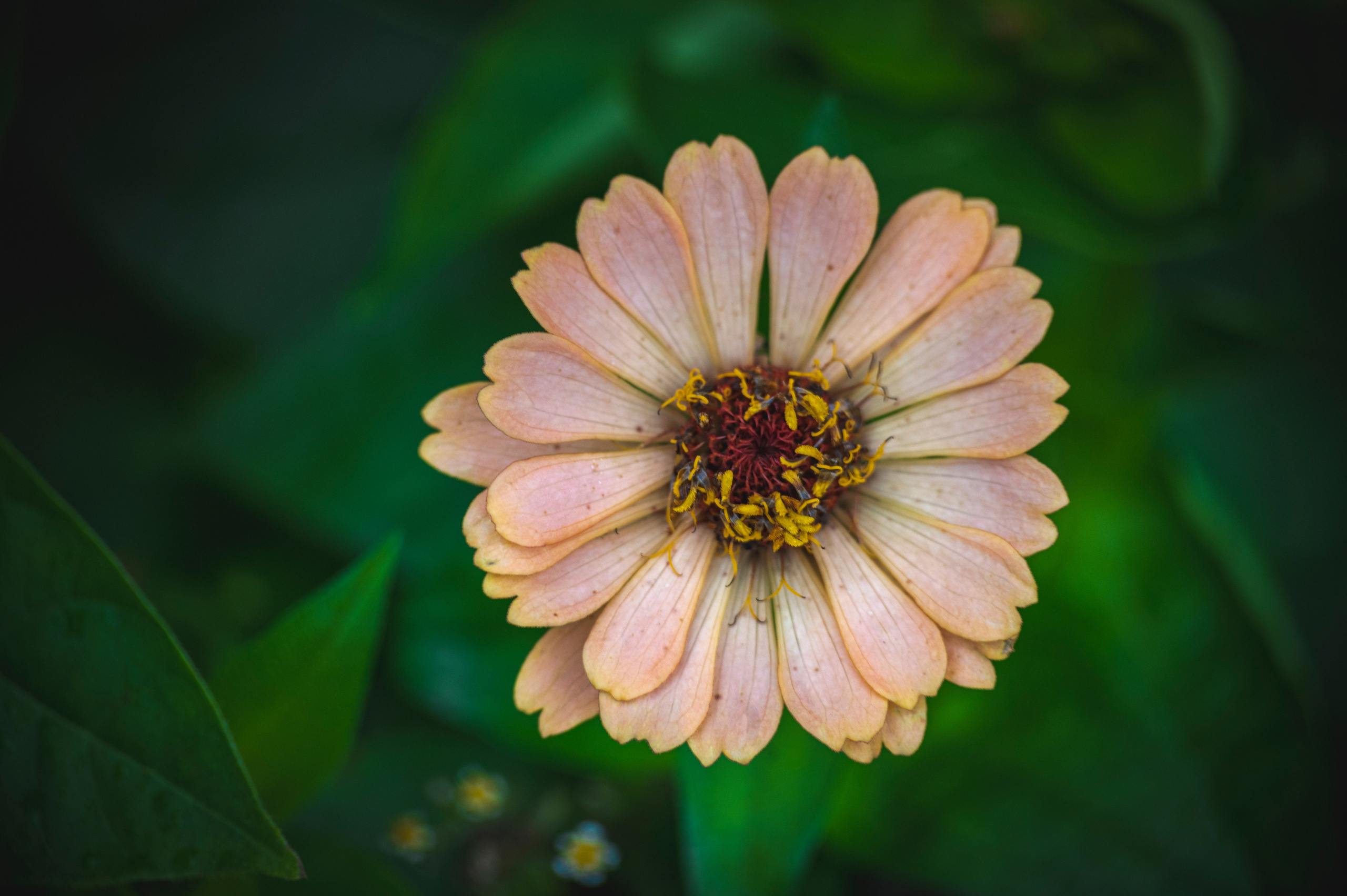 Фотопрогулка ДР. Фотограф Роман Адлер