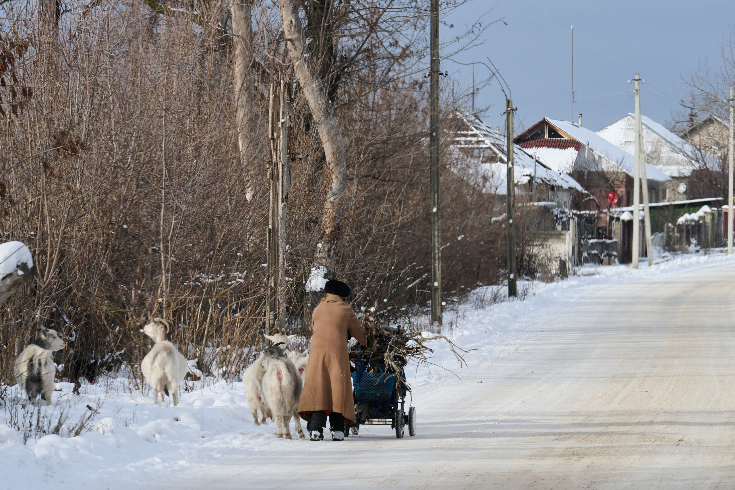 Рубежное. Январь 2026. Фотограф Роман Адлер