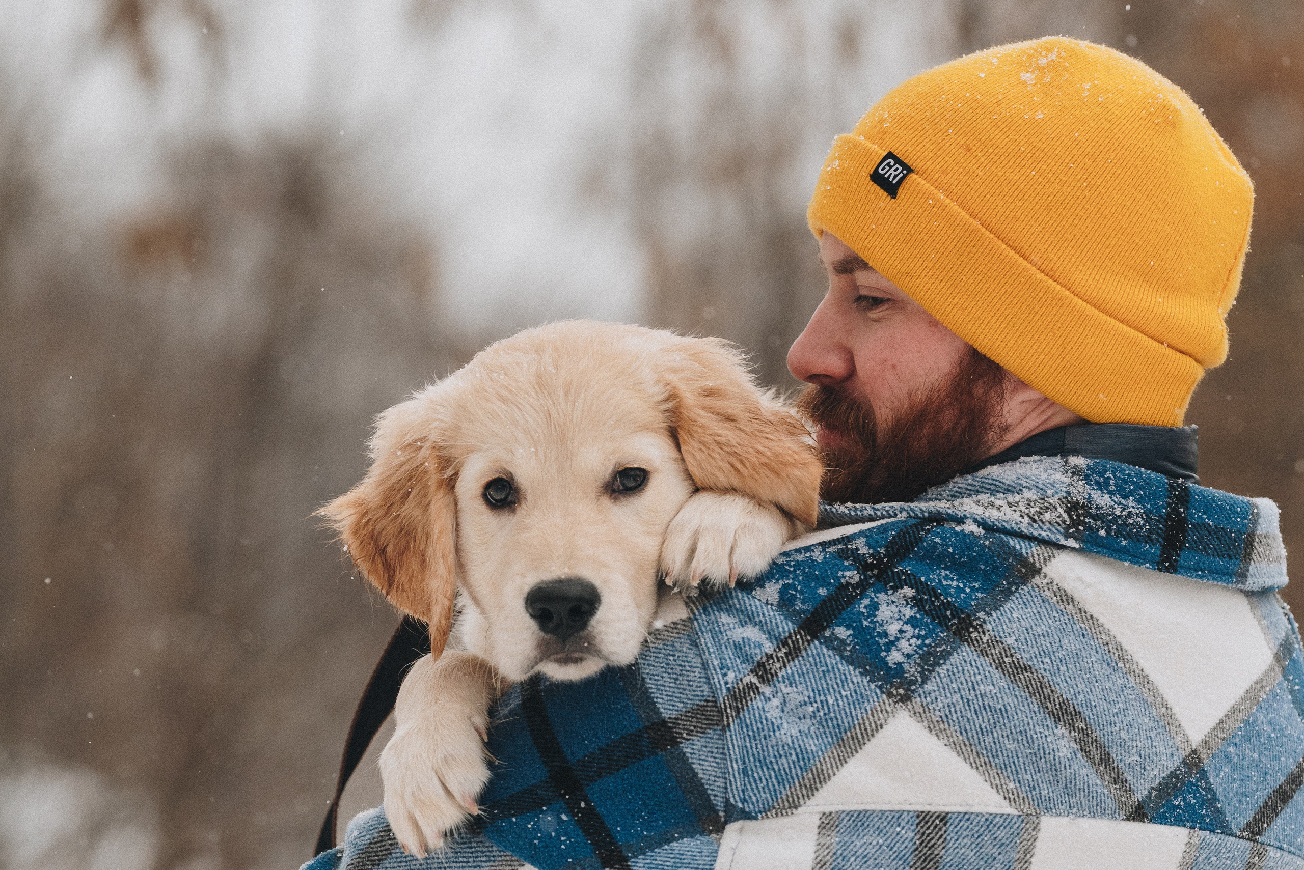 Natalia Finch Photography — Family, Kids & Pet Photographer in Chicago, IL