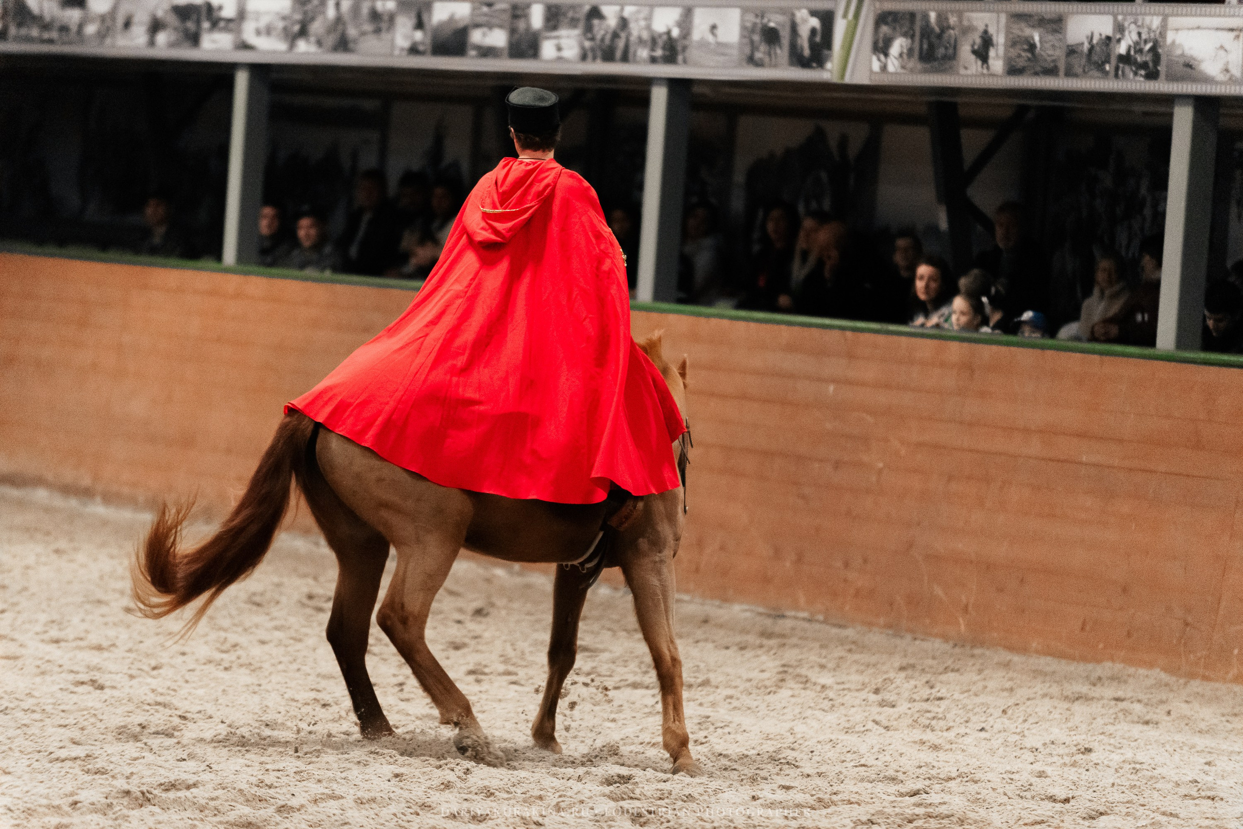 Конное представление «Дыхание Звёзд». Конный фотограф Куракина Дарья • Фотосессии с лошадьми