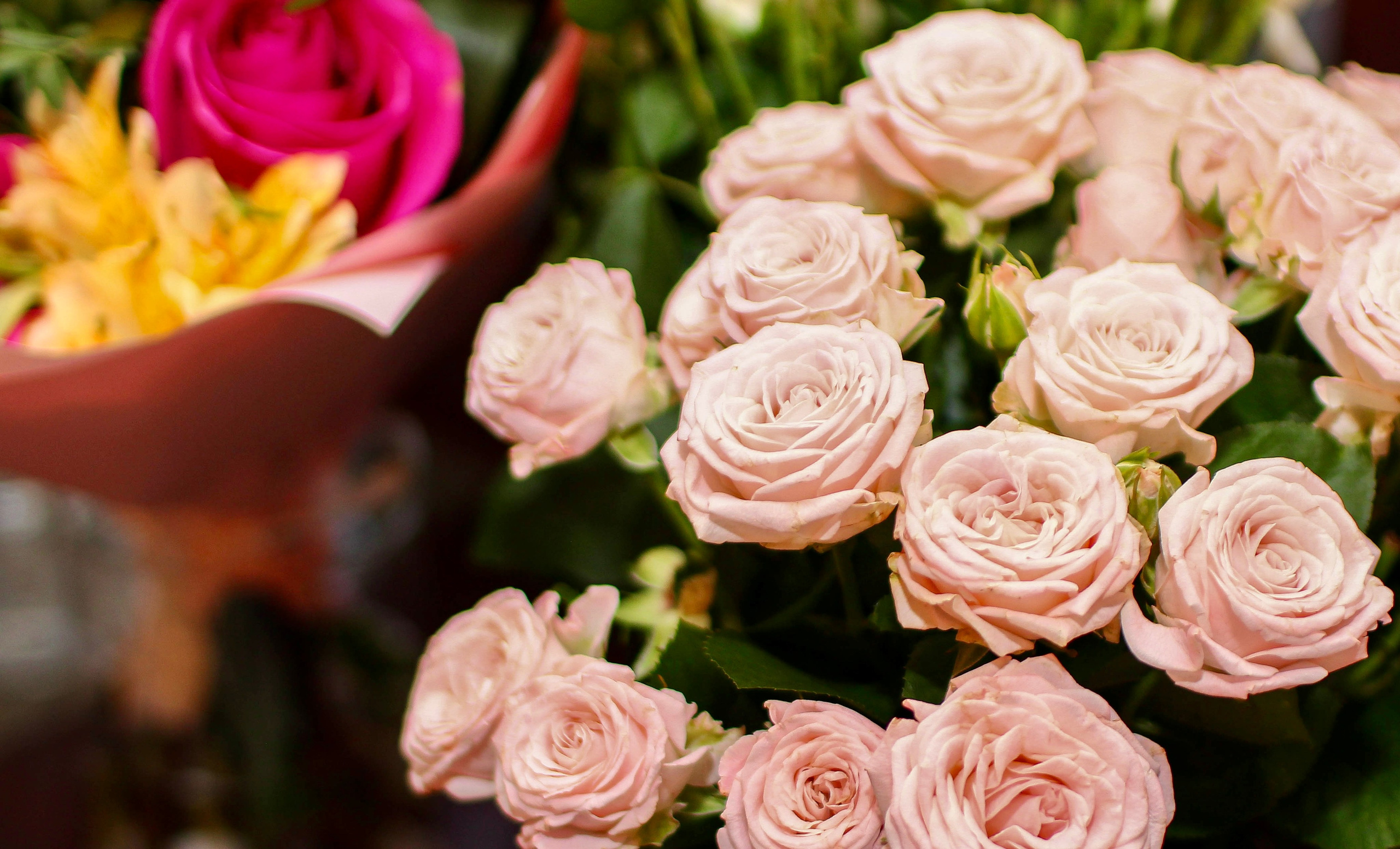 Bubbles. Фотограф Анастасия Абрамова