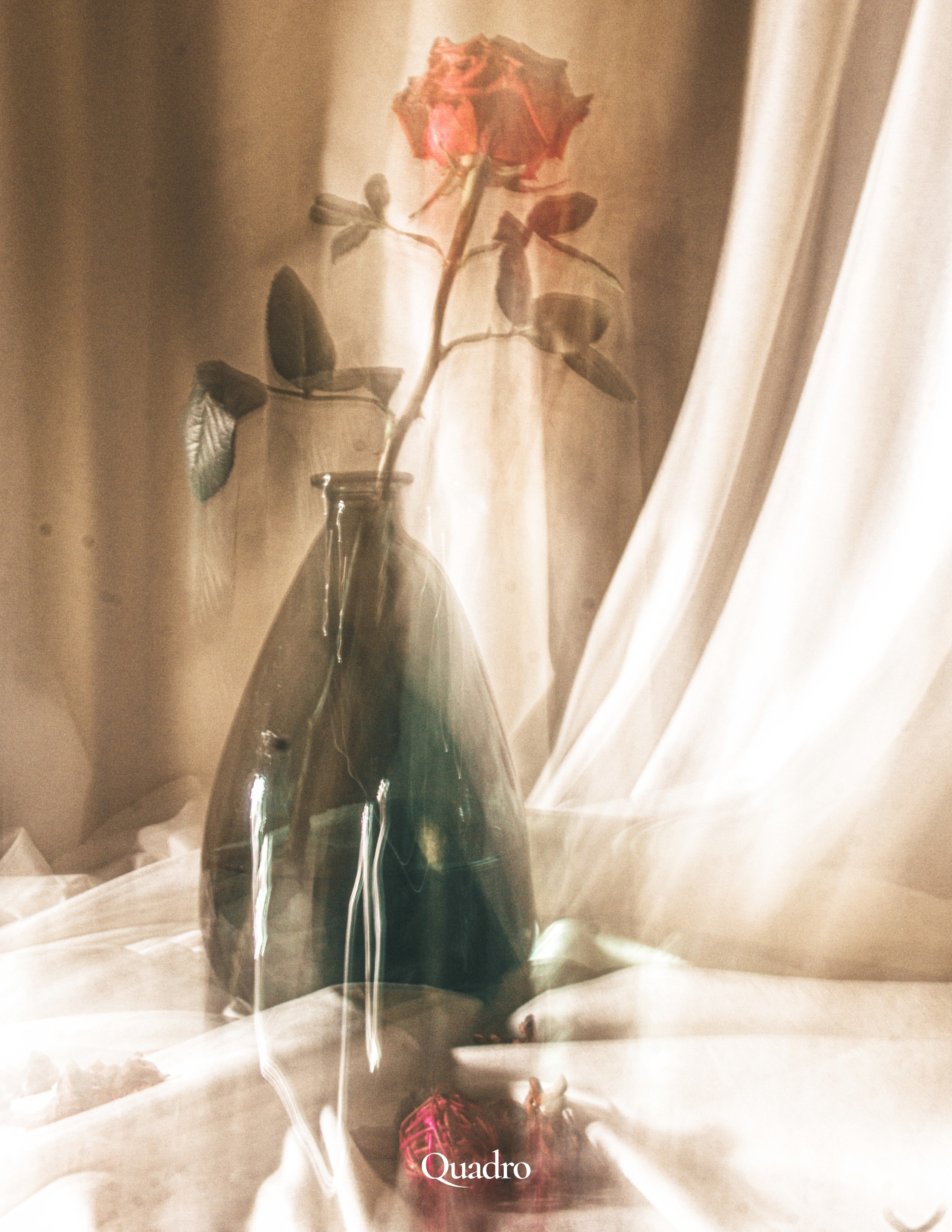 Ваш фотограф Северск | Томск