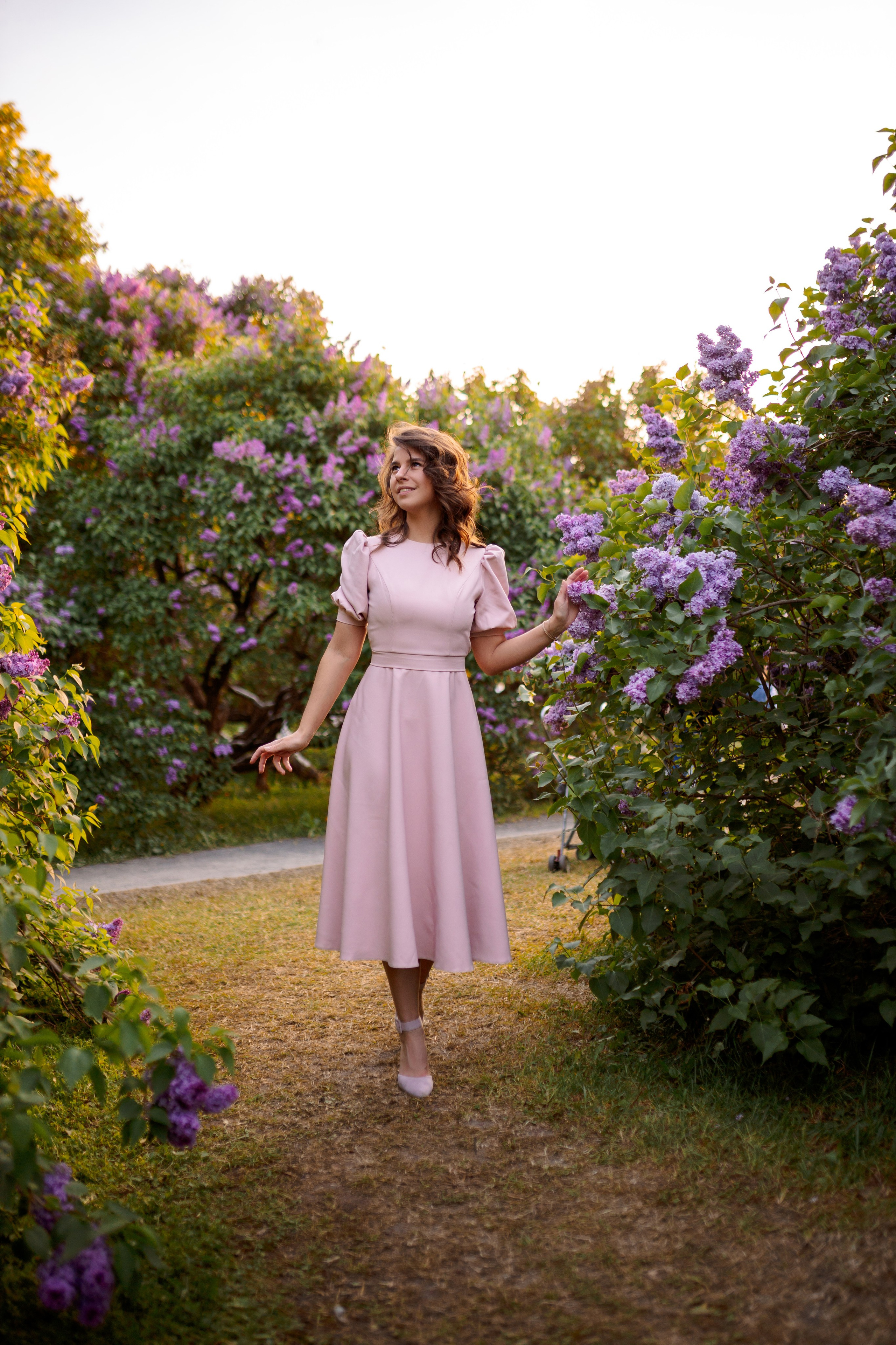 Цветение в сиреневом саду. Главная