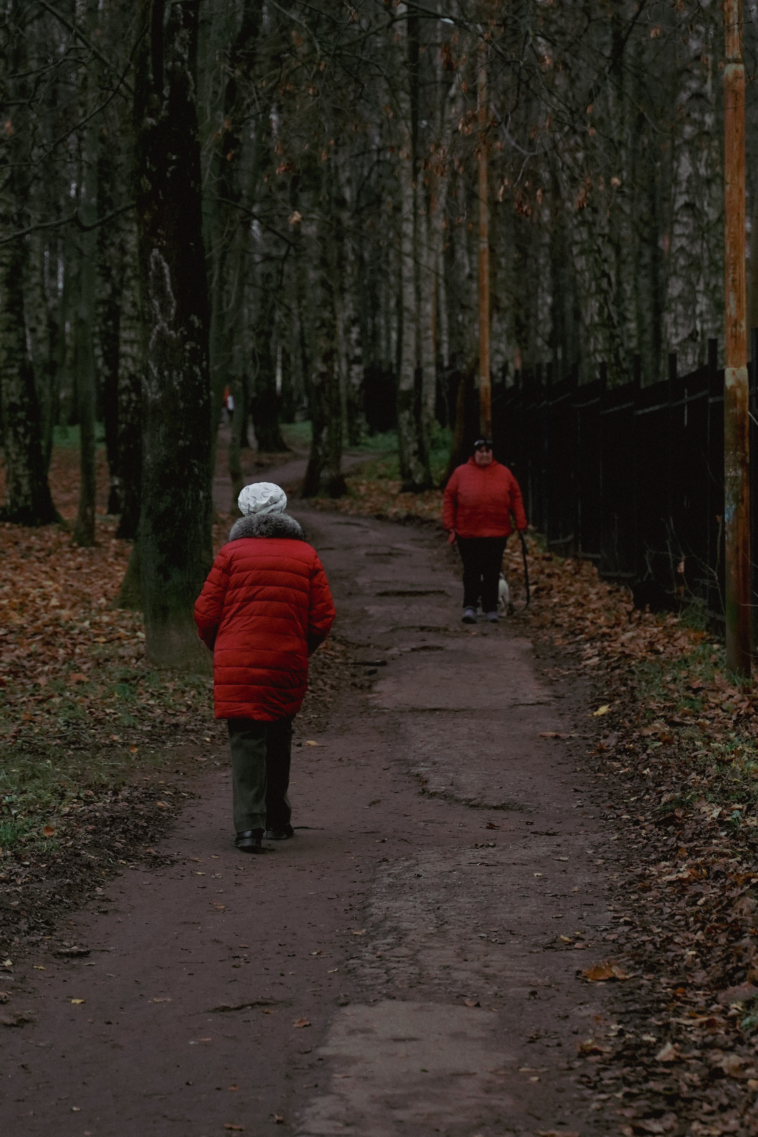 Уличная Съемка (3). Видео и Фото