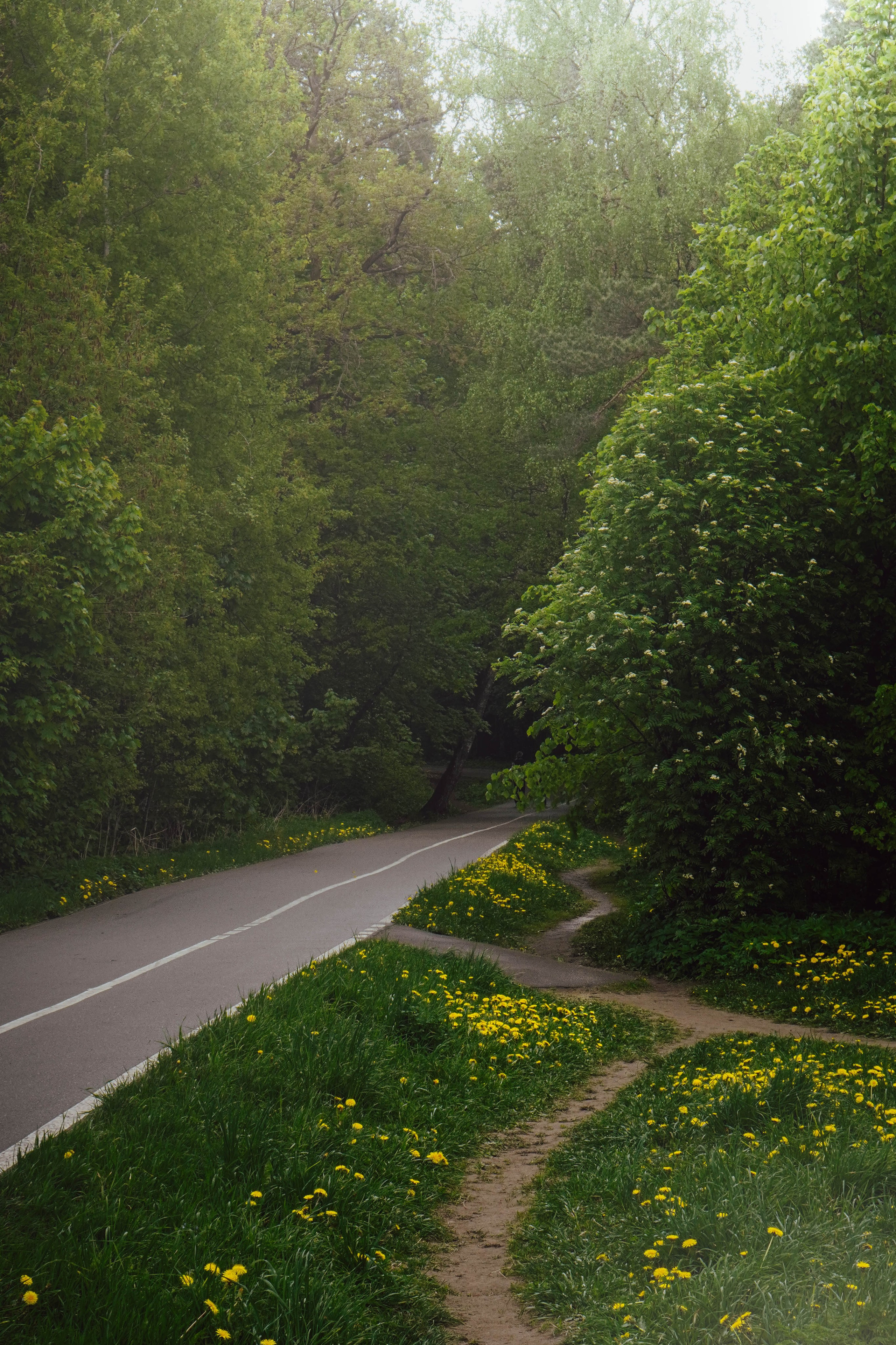 Уличная съёмка (2). Видео и Фото